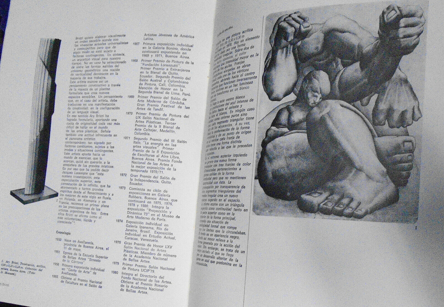 Brizzi : Pintores Argentinos del Siglo XX, 39. 1981. Text by Fermin Fevre