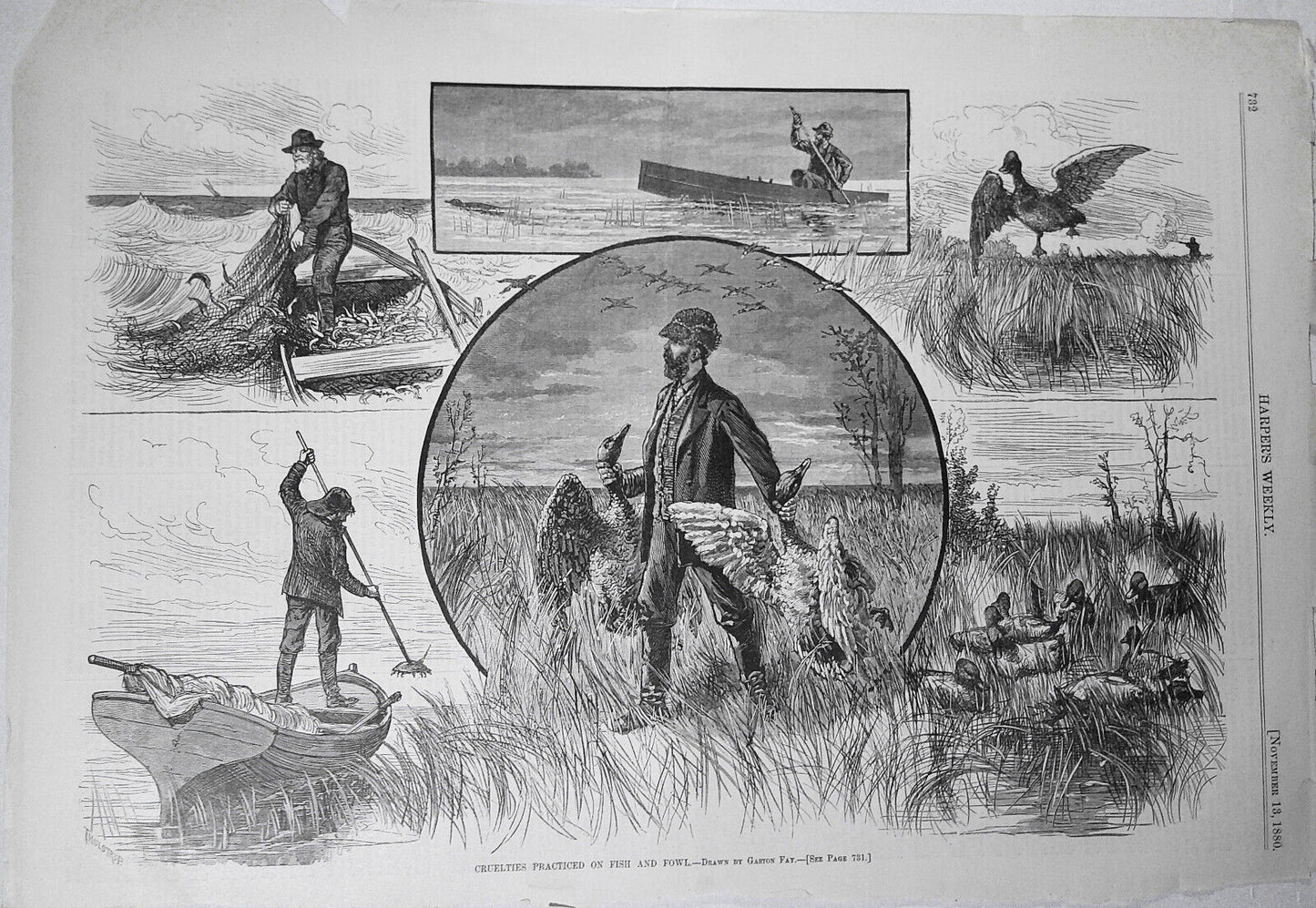 Cruelties Practiced on Fish and Fowl - Harper's Weekly, November 13, 1880 print