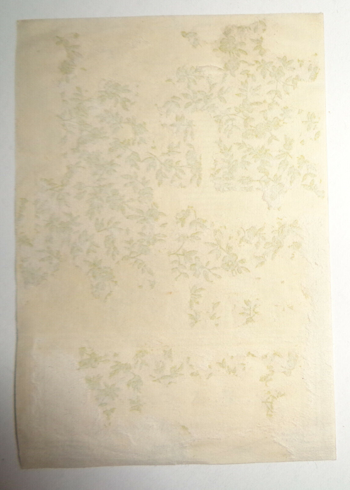 Hennepin County Medical Society Library - Ex Libris Bookplate - circa 1909