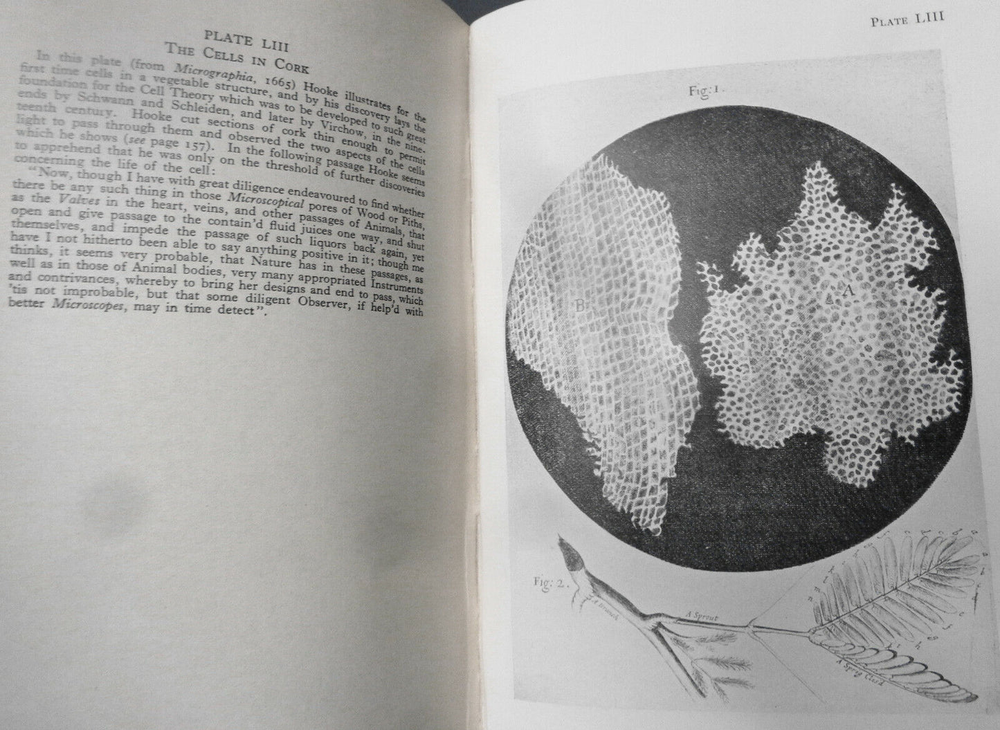 Sixty Centuries Of Health And Physick - by S G Blaxland Stubbs; E W Bligh. 1931