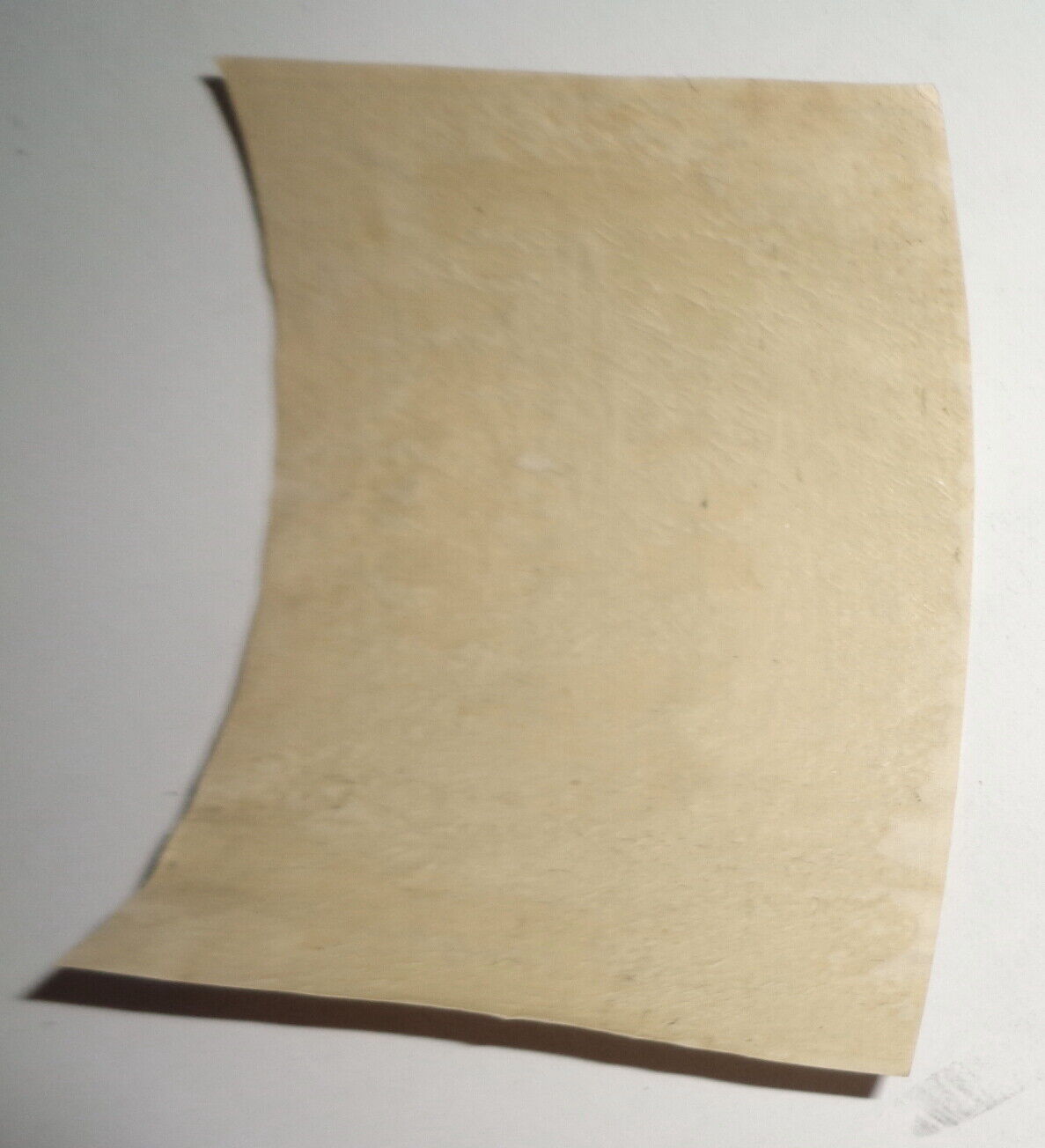 William Hughes - Ex Libris Bookplate