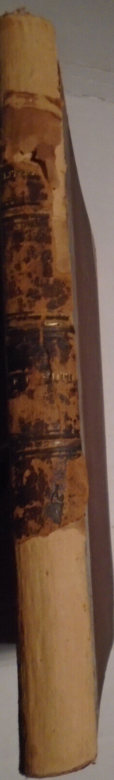 19th century Handwritten manuscript: Essays In English Literature - Frank Smith