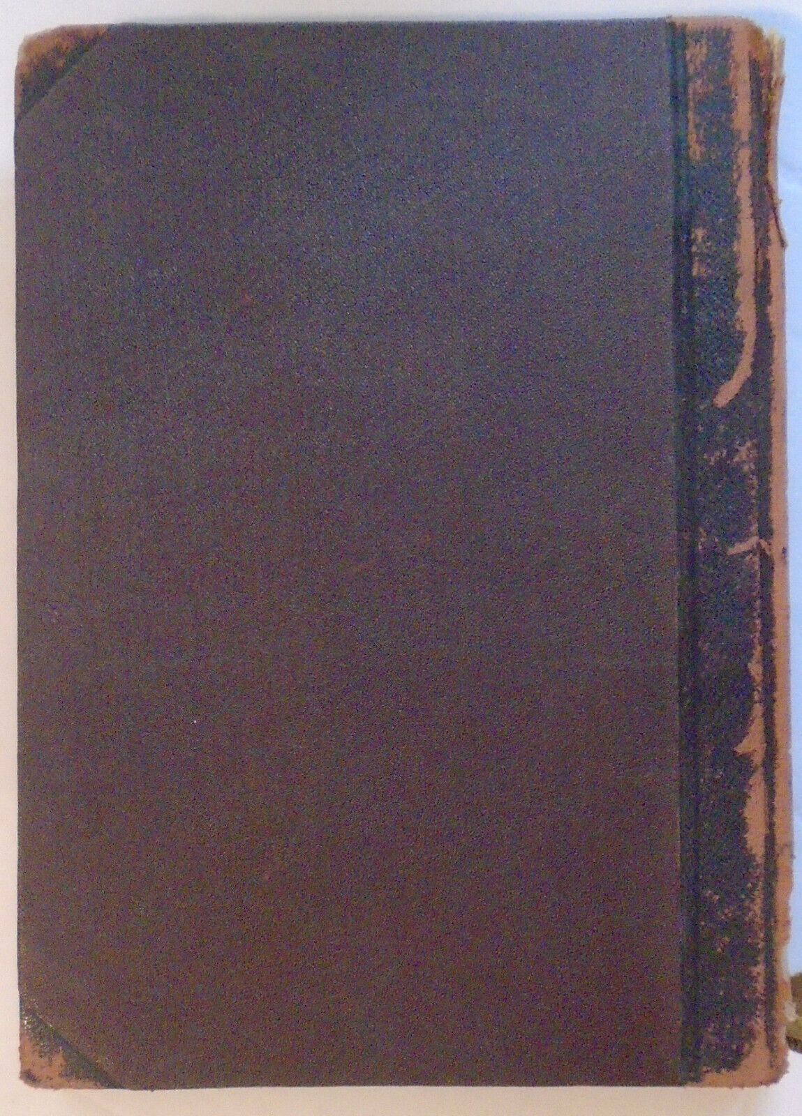 1893 Jak Ziti : Rady a pokyny zdravym i nemocnym, aby proste, rozumne zili ...