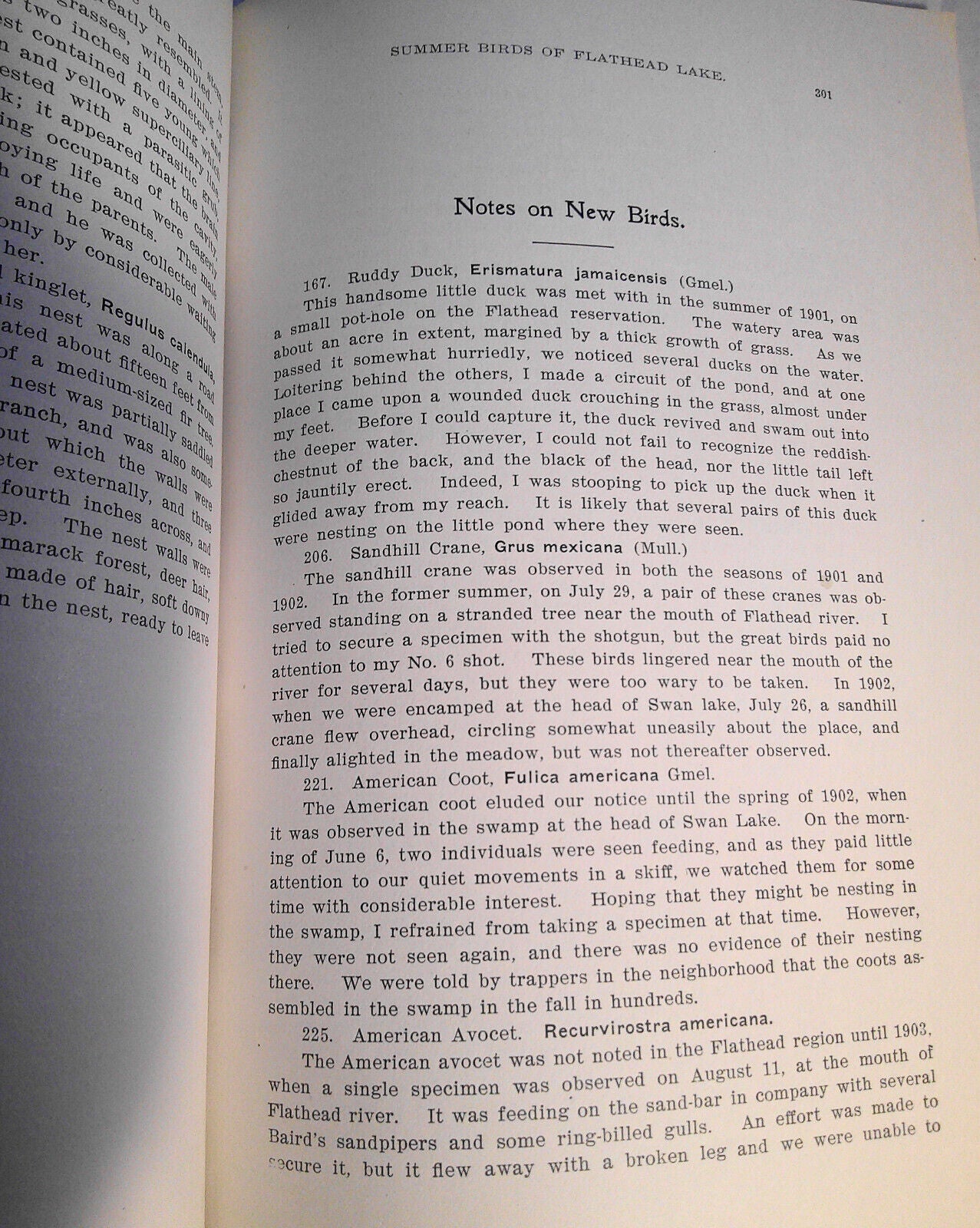 1903 Additional notes to Summer birds of Flathead Lake... Swan Lake by Silloway