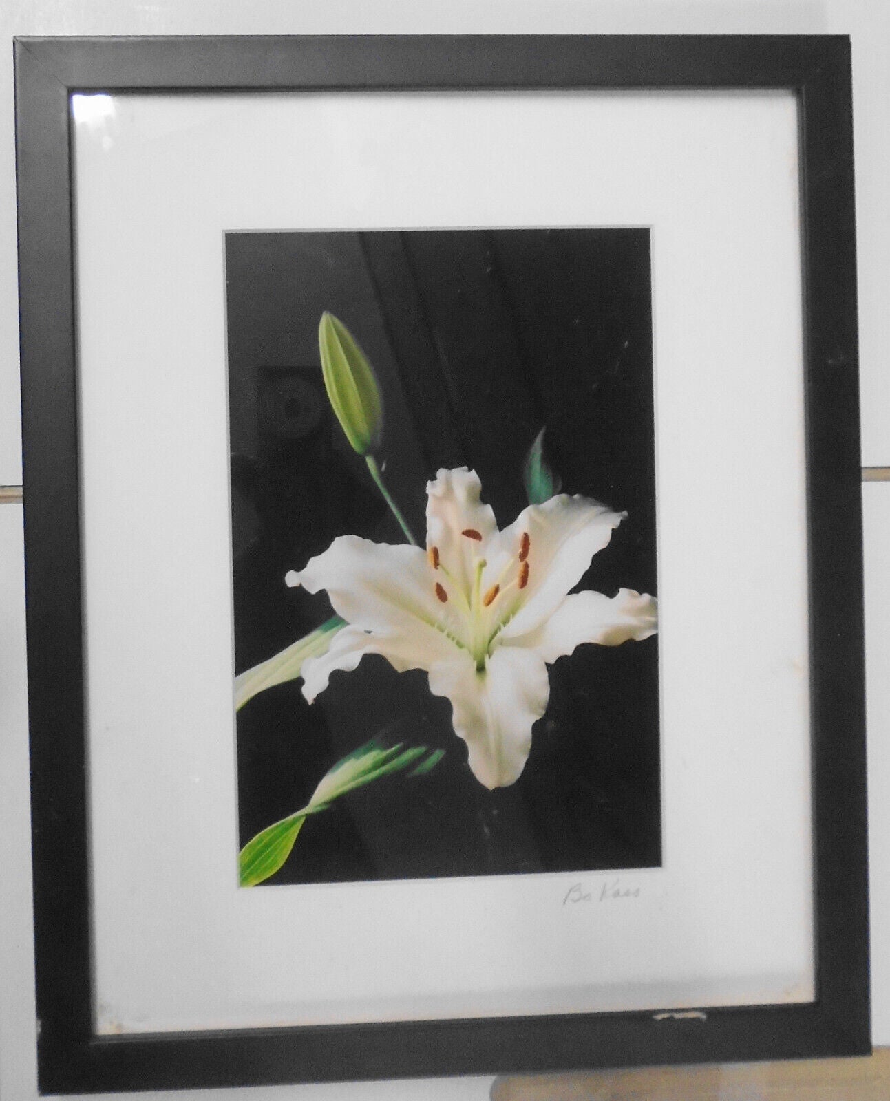Bodonna "Bo" Kass : Flower - Signed original digital "C" Print