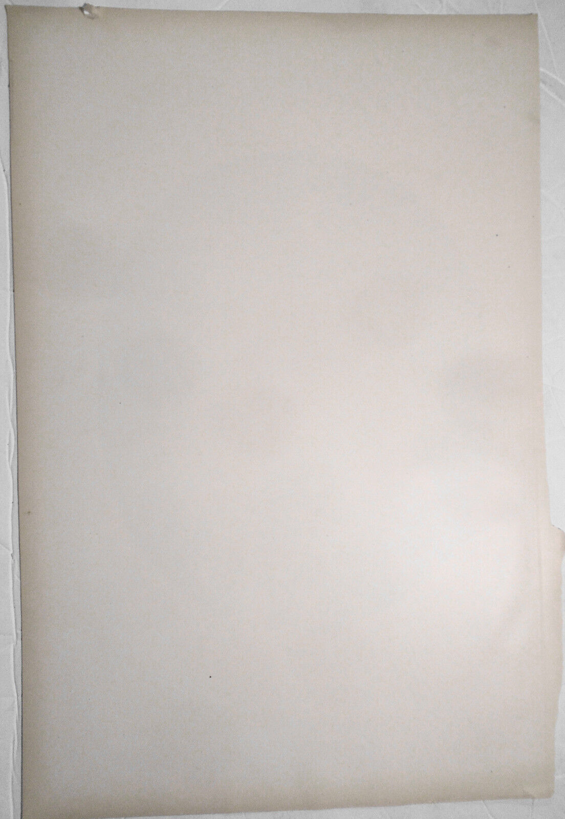 Blumenorafel, by E. Anders -- 1882