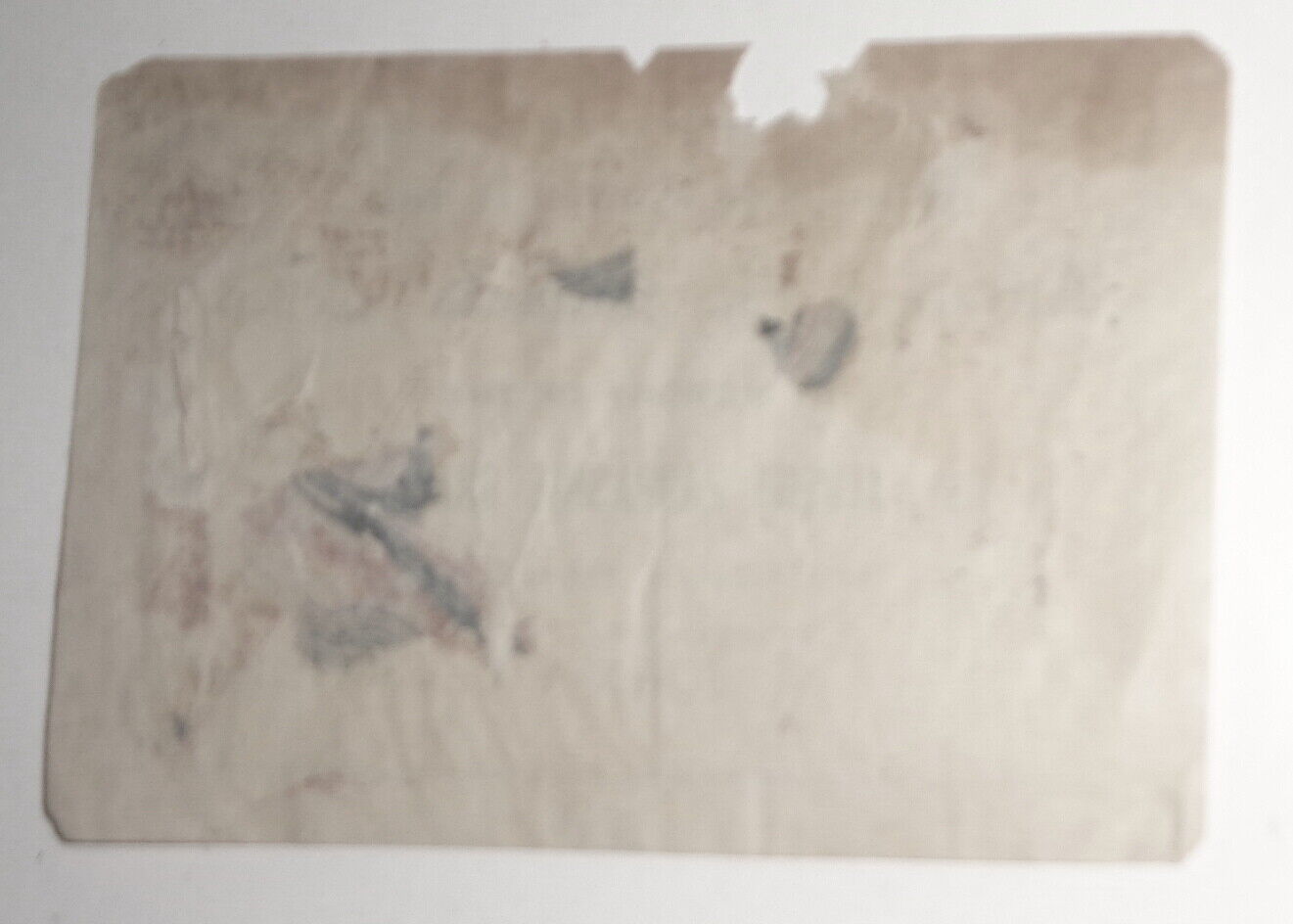 St. Stephen's College Library Bookplate - Memory Of Albert Zabraskie Gray, D.D.