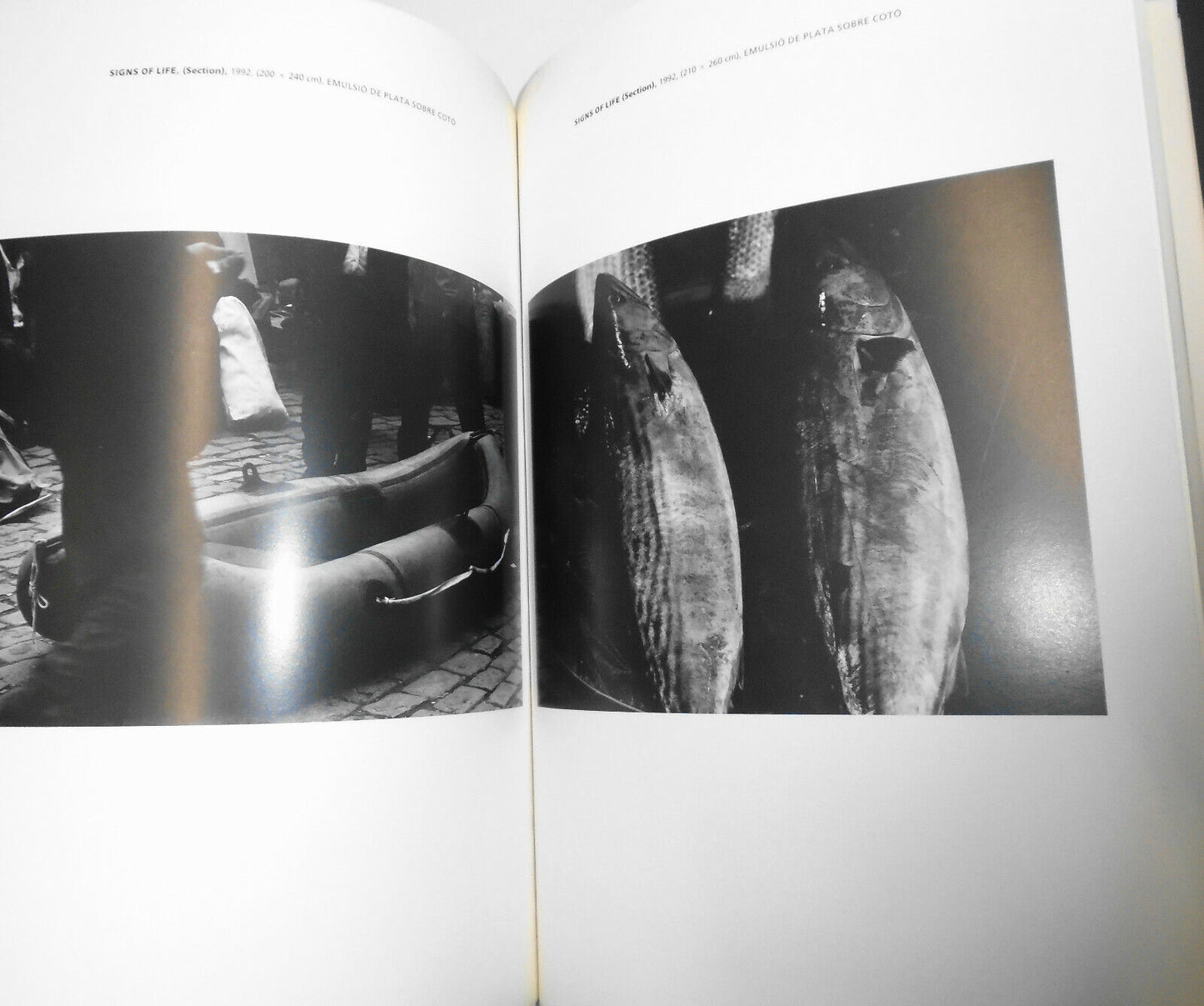 Hannah Collins : Santa Monica : 11 maig-13 juny, 1993. Exhibition catalog