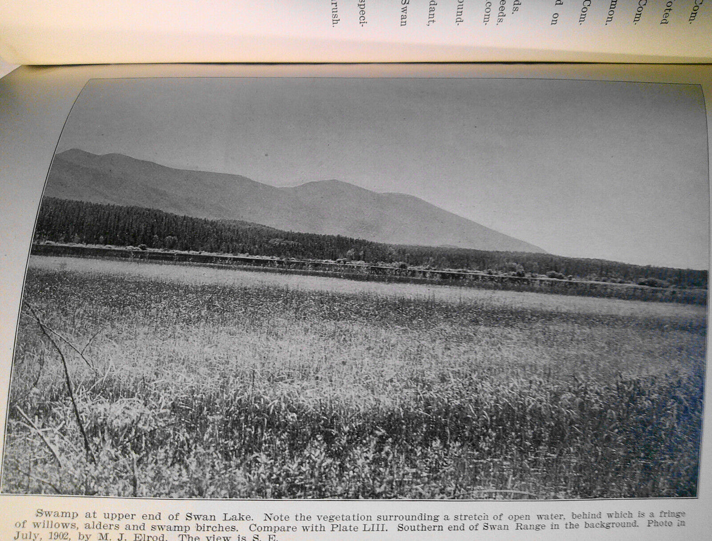 1903 Additional notes to Summer birds of Flathead Lake... Swan Lake by Silloway