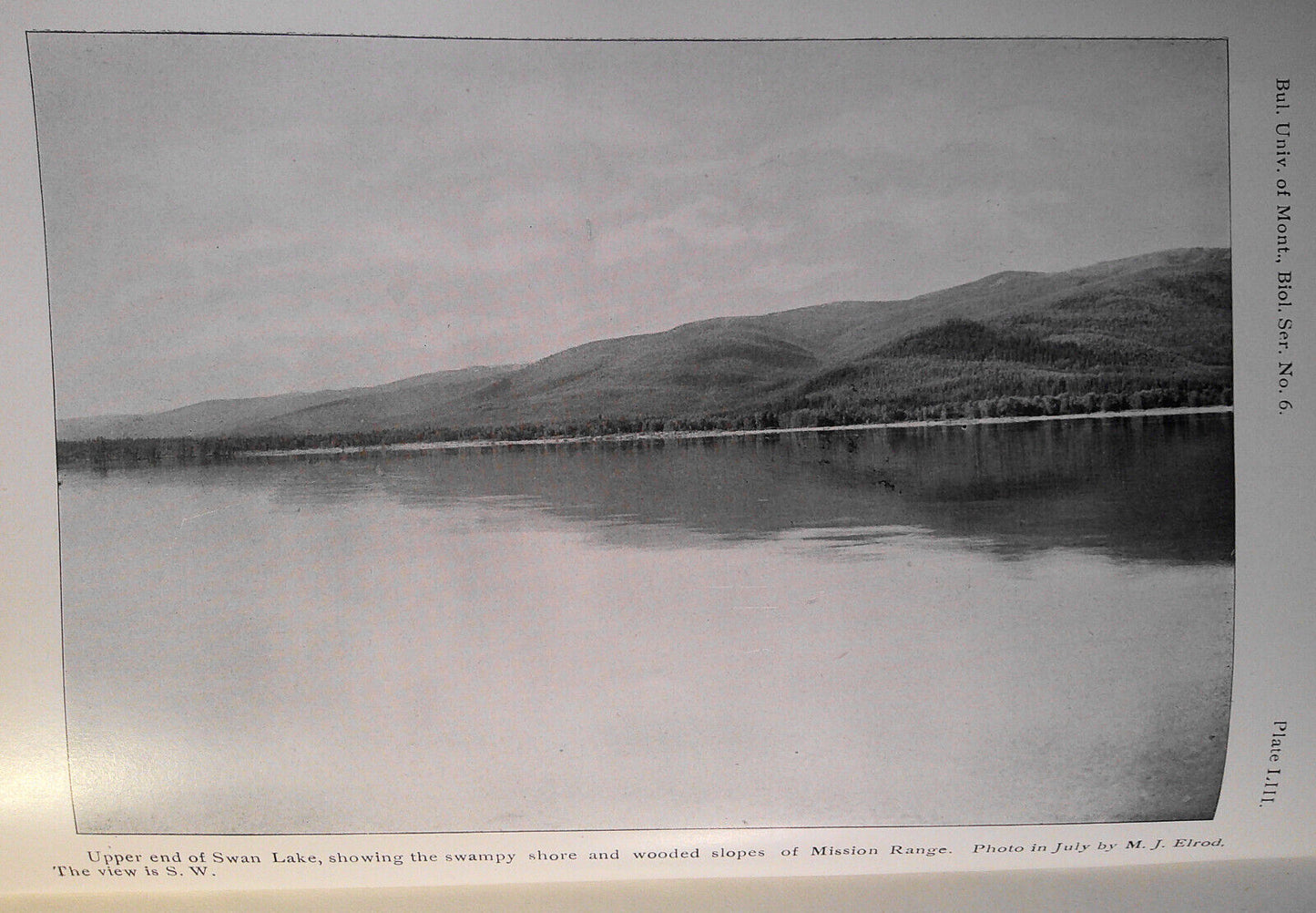 1903 Additional notes to Summer birds of Flathead Lake... Swan Lake by Silloway