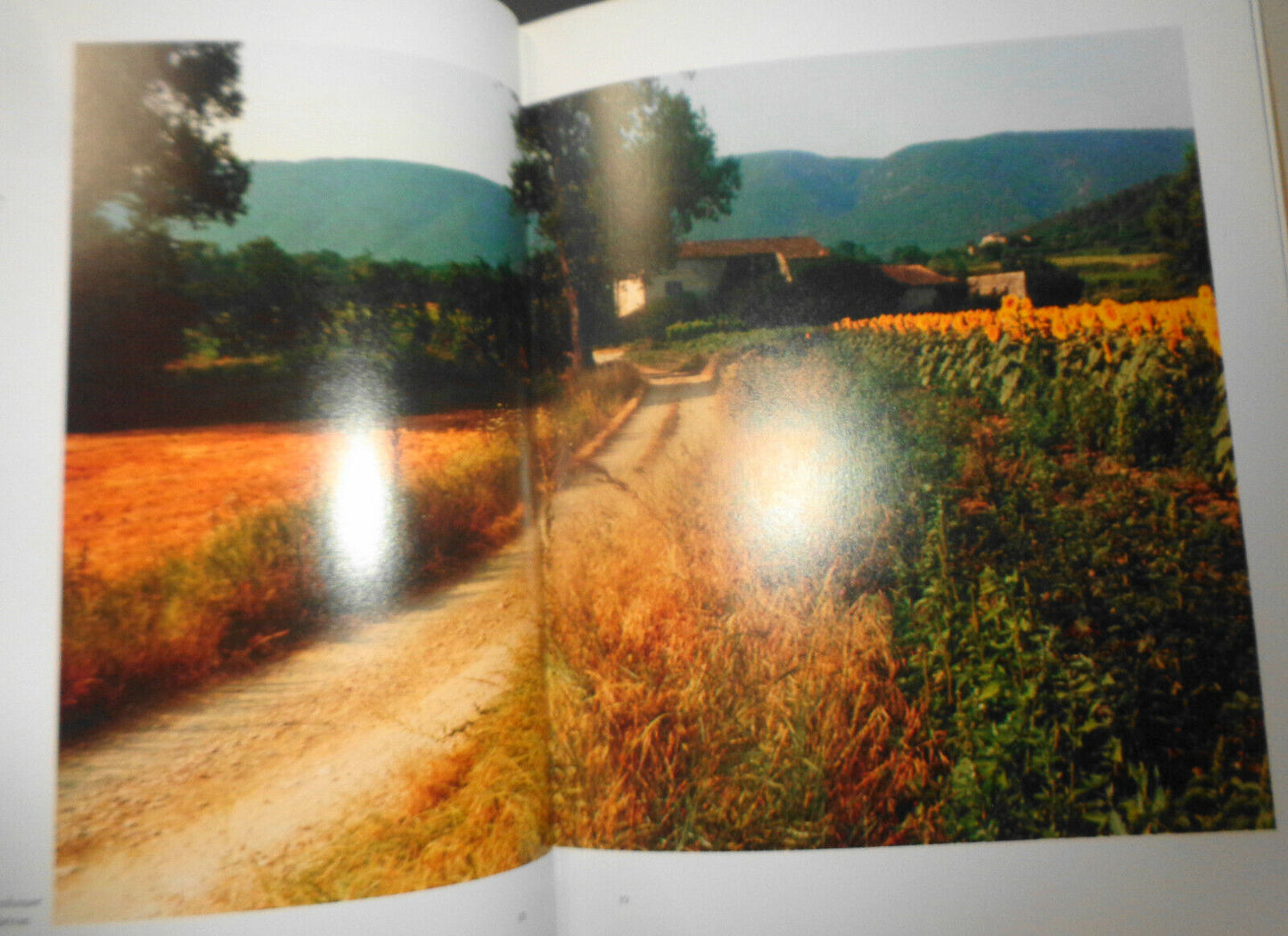 Sunflowers For Van Gogh, by David Douglas Duncan. 1986 1st Edition 1st Printing