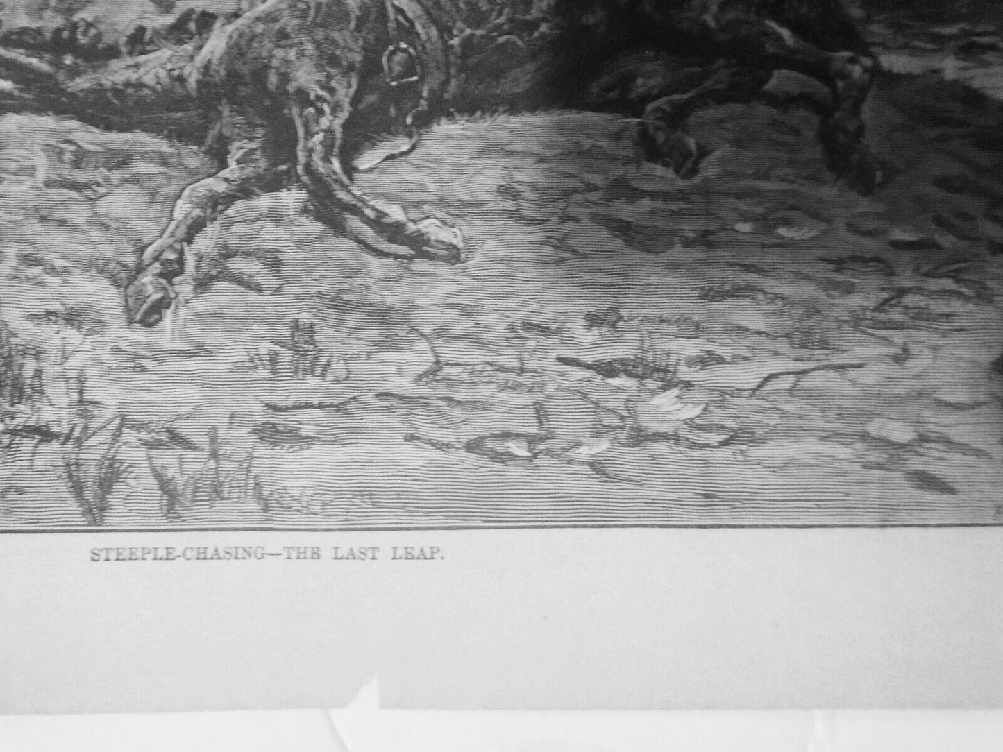 STEEPLE-CHASING - Two original prints from Harper's Weekly, April 25, 1874