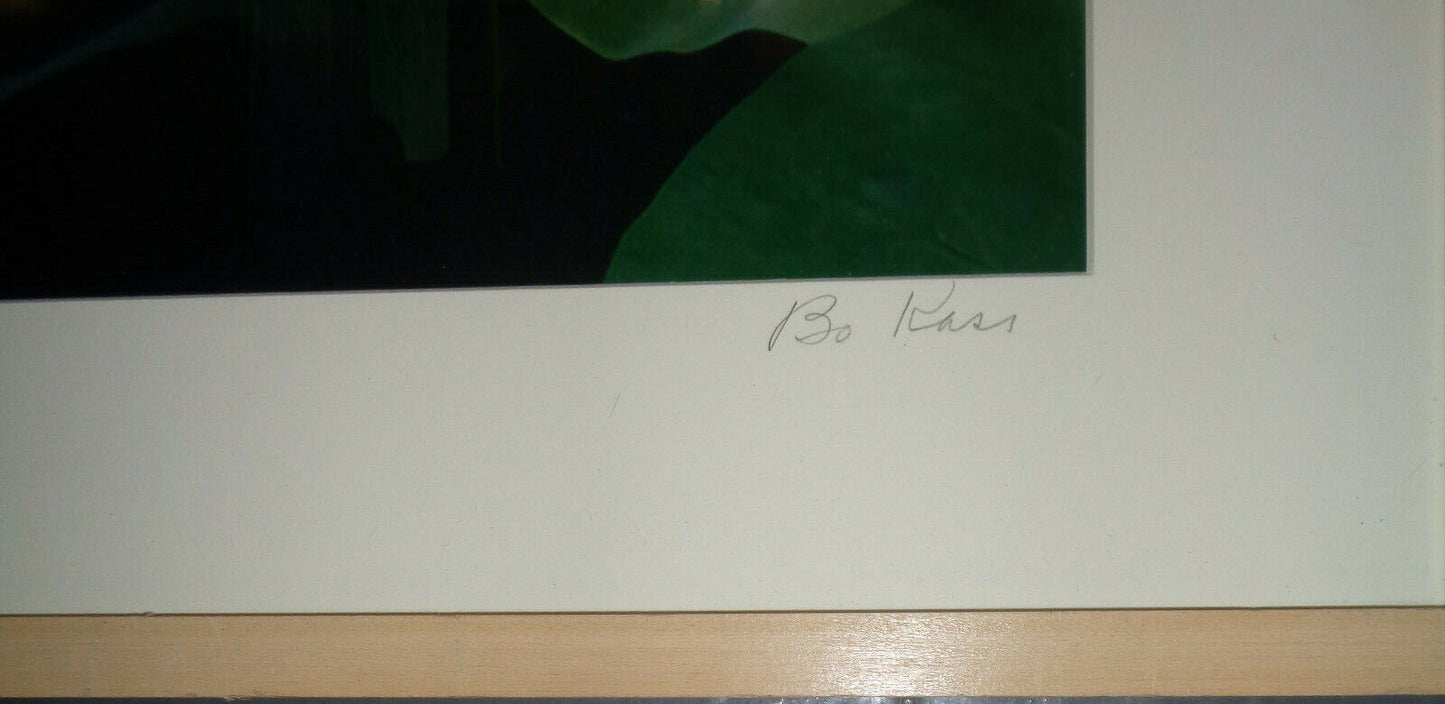 Bo Kass : Pink Orchid with Leaves - Signed original C-Print framed