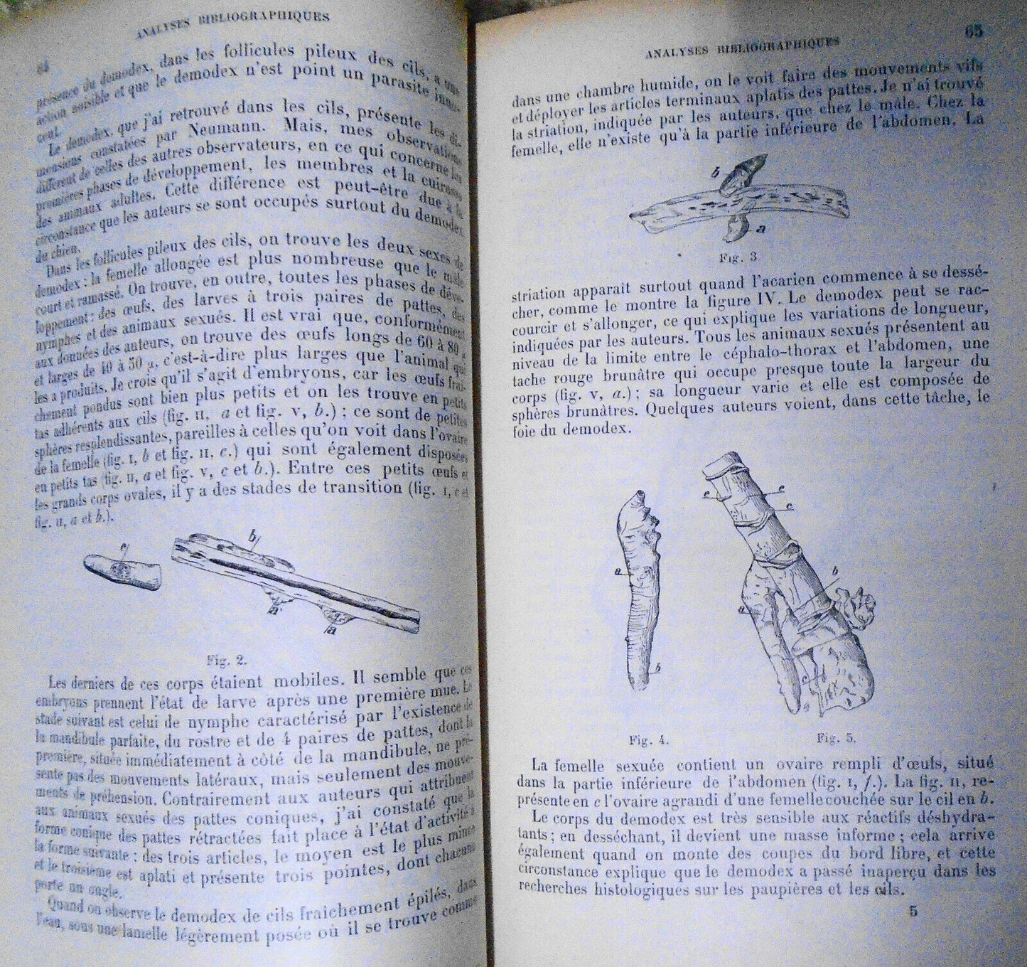 Annales D'Oculistique 1899. Bound Vol. 121/122. Yearly Ophthalmological Journal