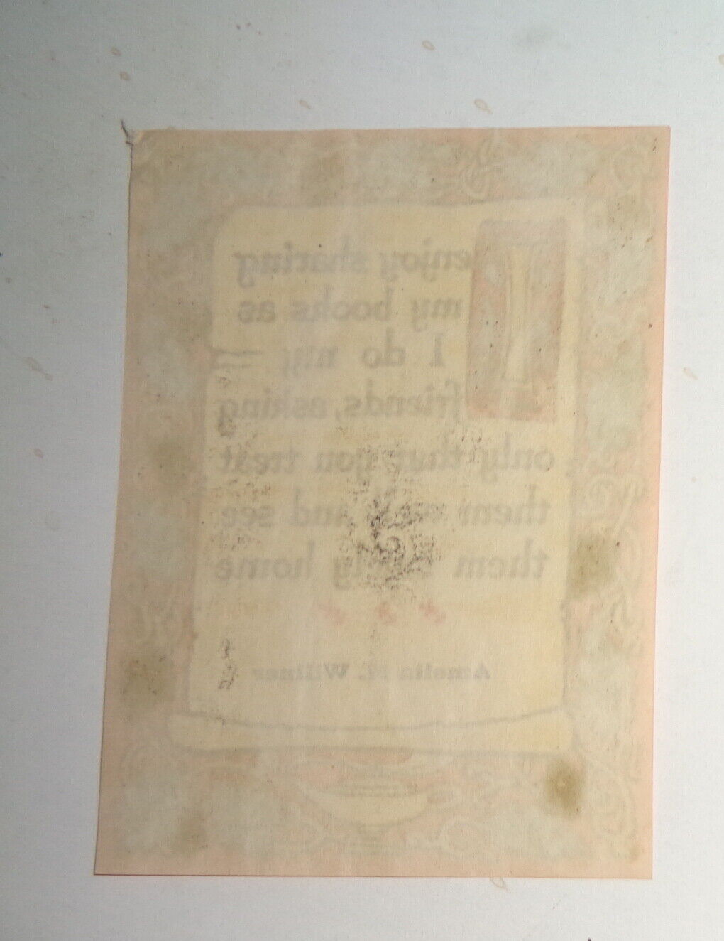 Amelia M. Willner Ex Libris Bookplate - 1964