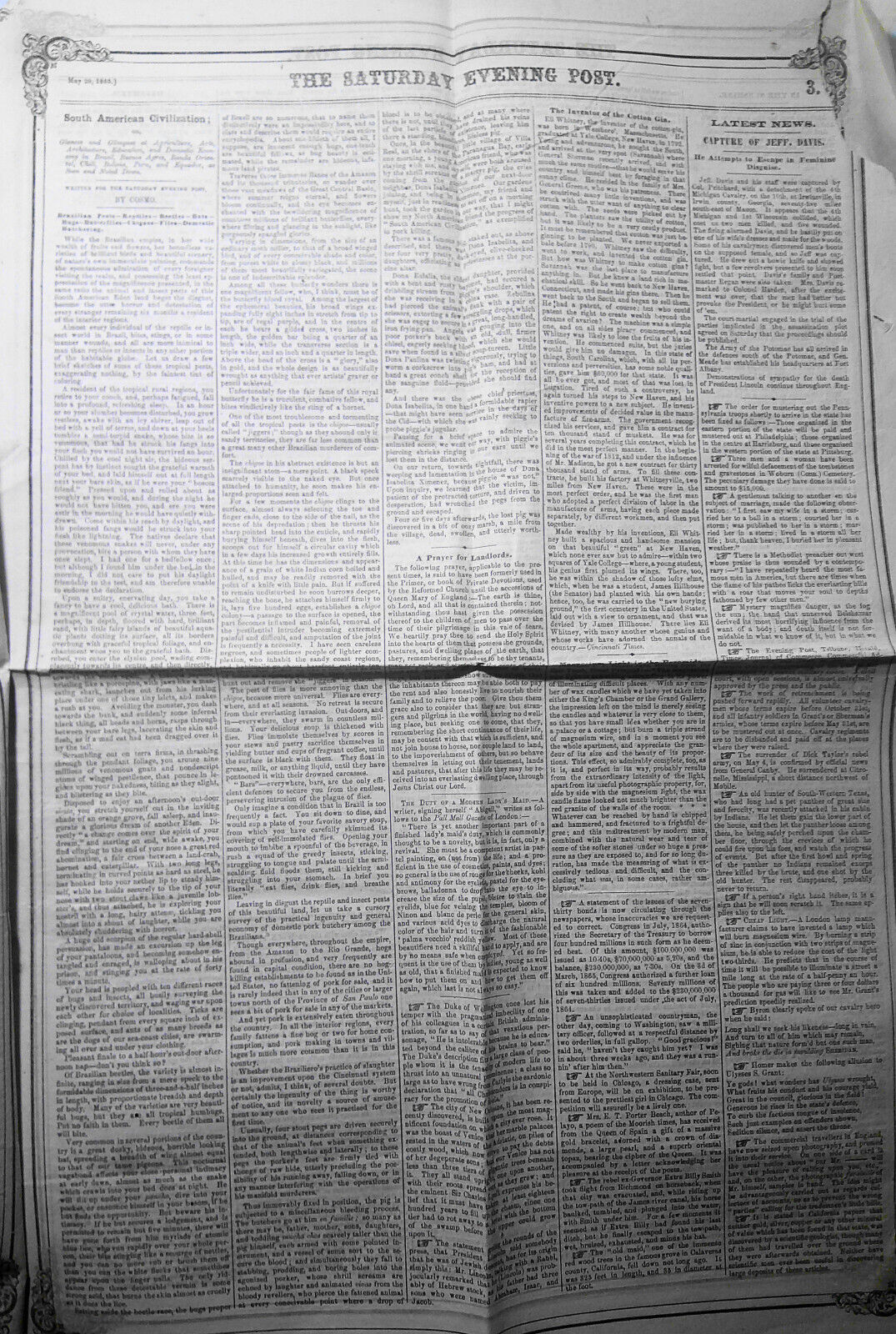 Saturday Evening Post, May 20, 1865 - Capture of Jeff Davis in Feminine Disguise