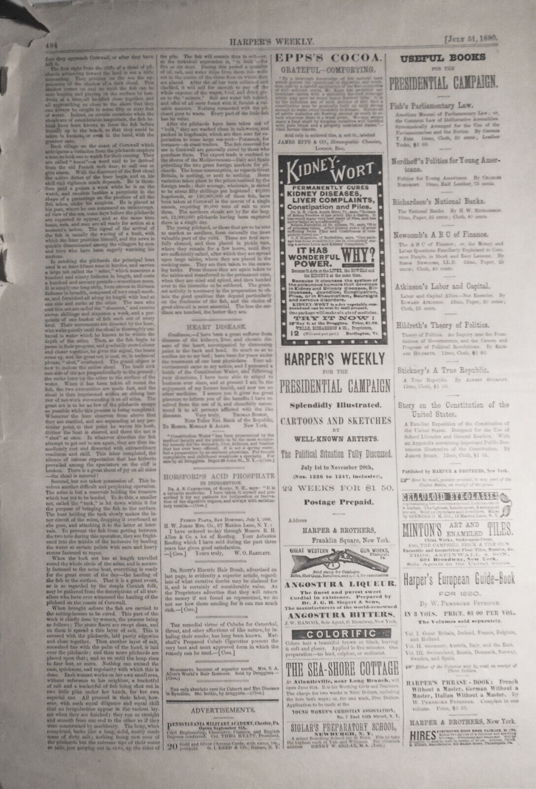 HARPER'S WEEKLY, July 31, 1880 - Democratic Trojan Horse / Circus accident, etc
