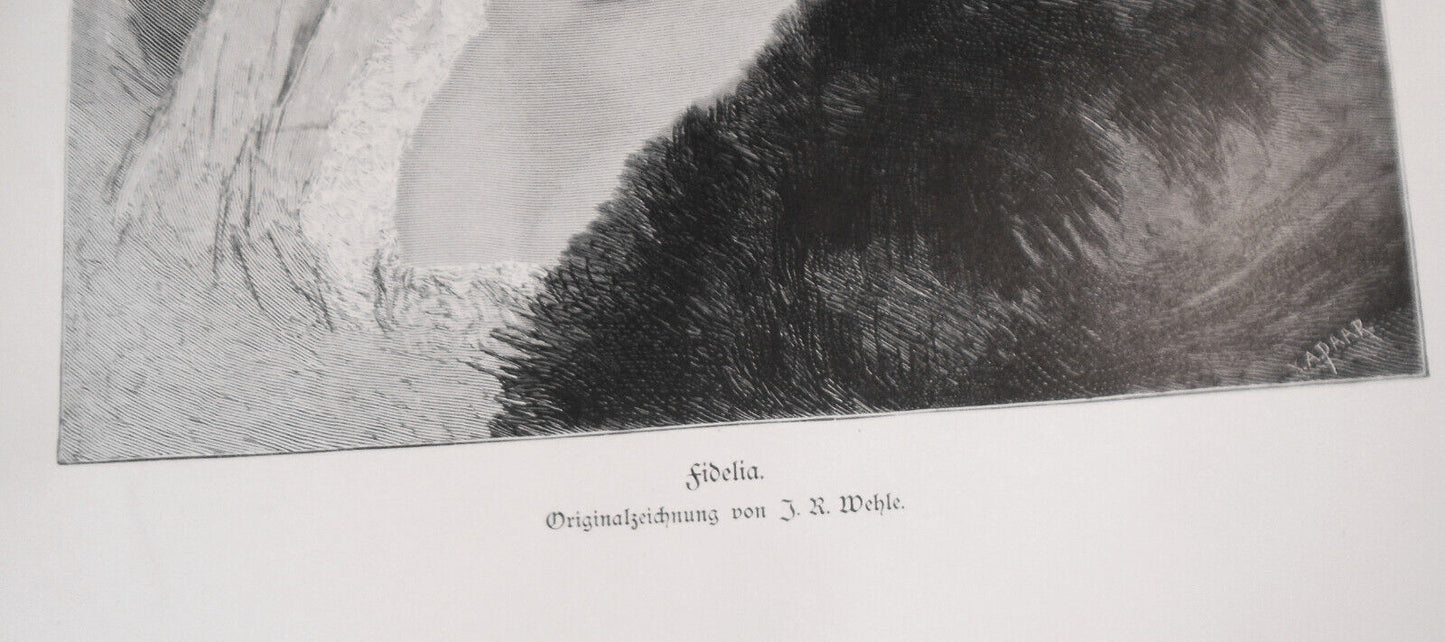 Fidelia, originalzeichnung von Johannes Raphael Wehle -- 1882