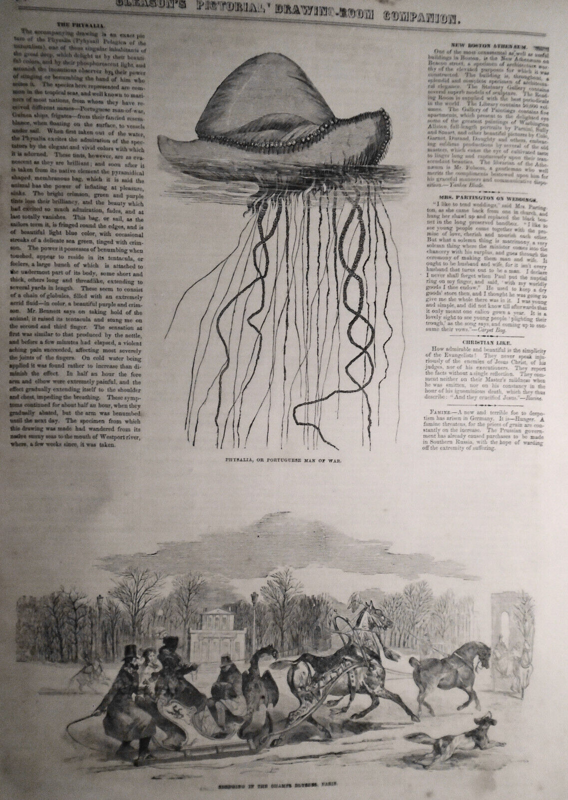 Gleason's Pictorial - January 24, 1852. Brazilian Coffee, George Washington, etc