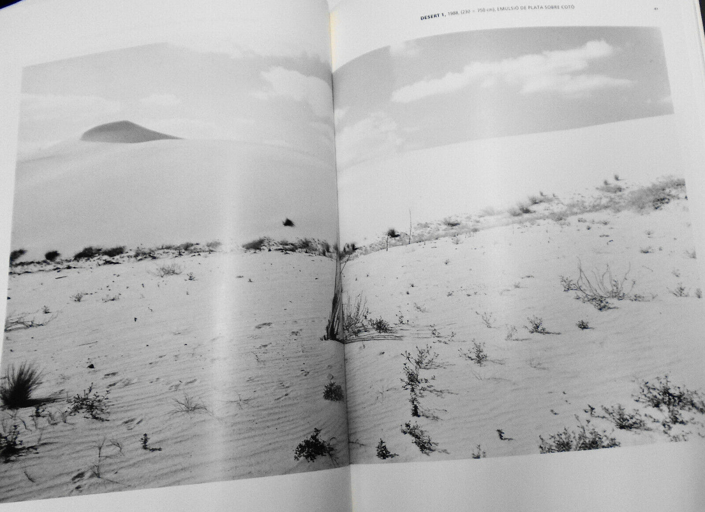 Hannah Collins : Santa Monica : 11 maig-13 juny, 1993. Exhibition catalog