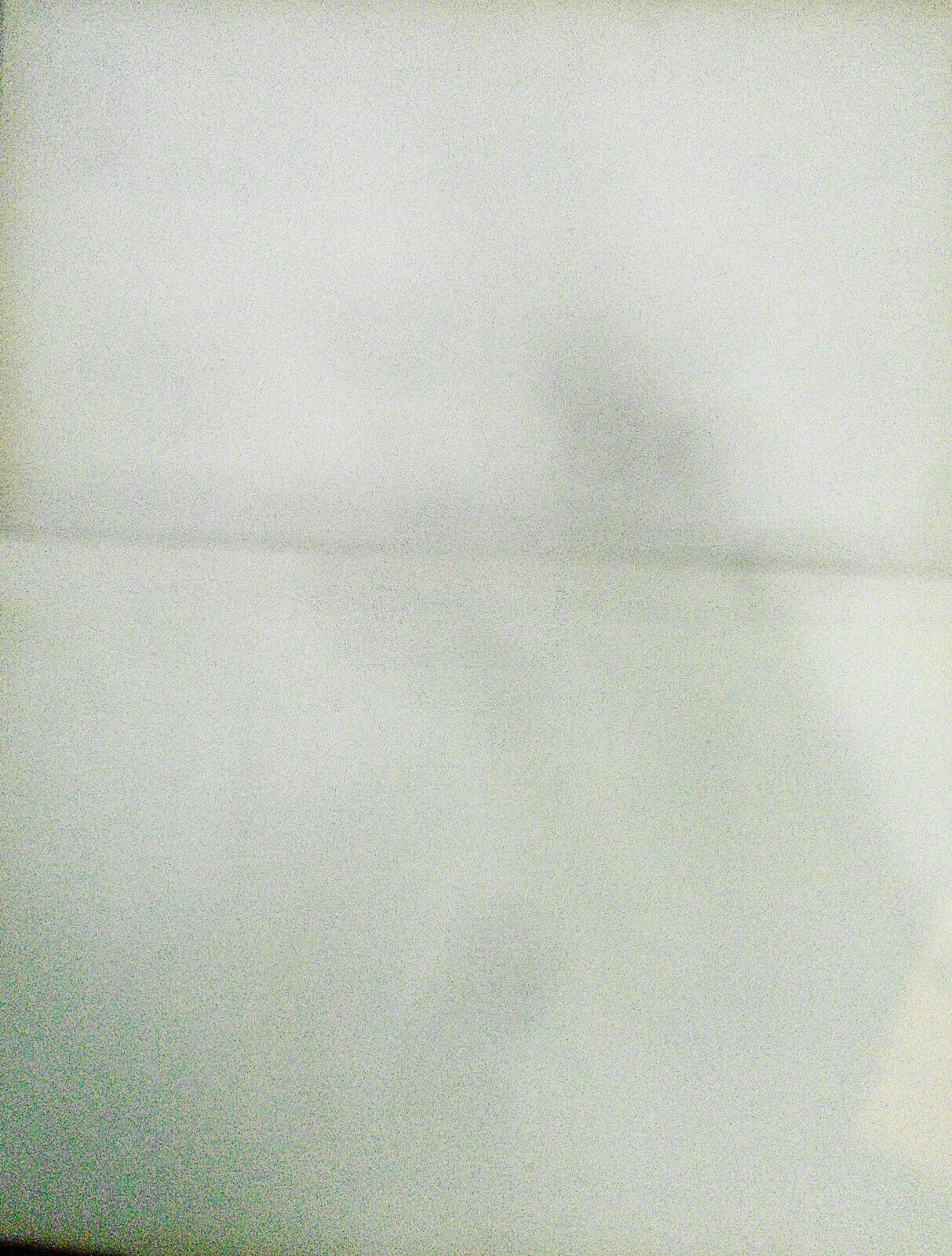 1890 Die beiden Enten und der Frosch -Münchener Bilderbogen # 325; Wilhelm Busch