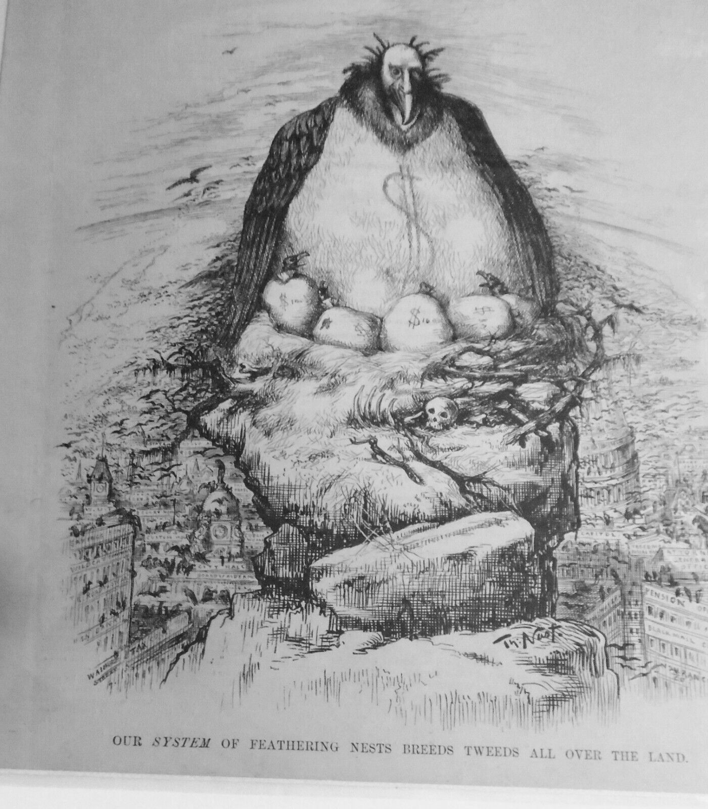 1886 Our System of Feathering Nests breeds Tweeds all over ... by Thomas Nast