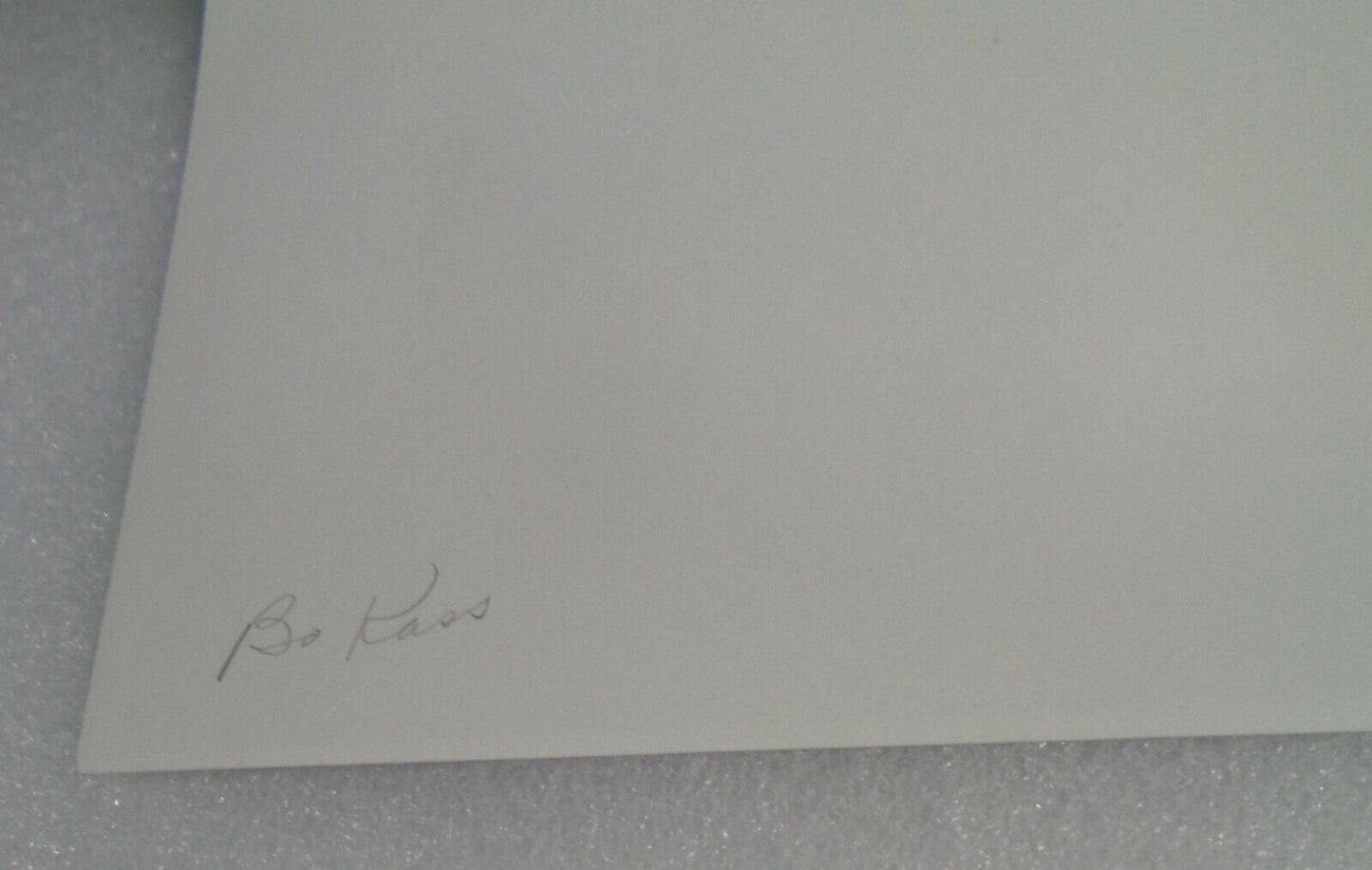 Bo Kass: Leaves - SIGNED original Silver Gelatin photograph