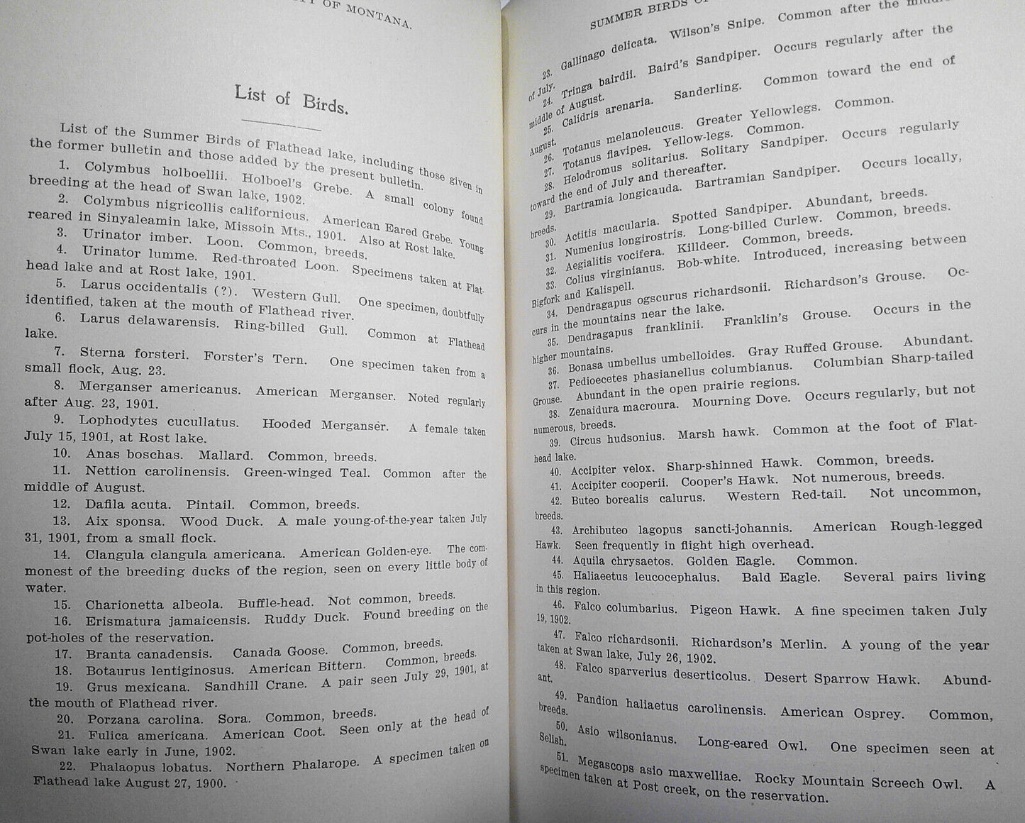 1903 Additional notes to Summer birds of Flathead Lake... Swan Lake by Silloway
