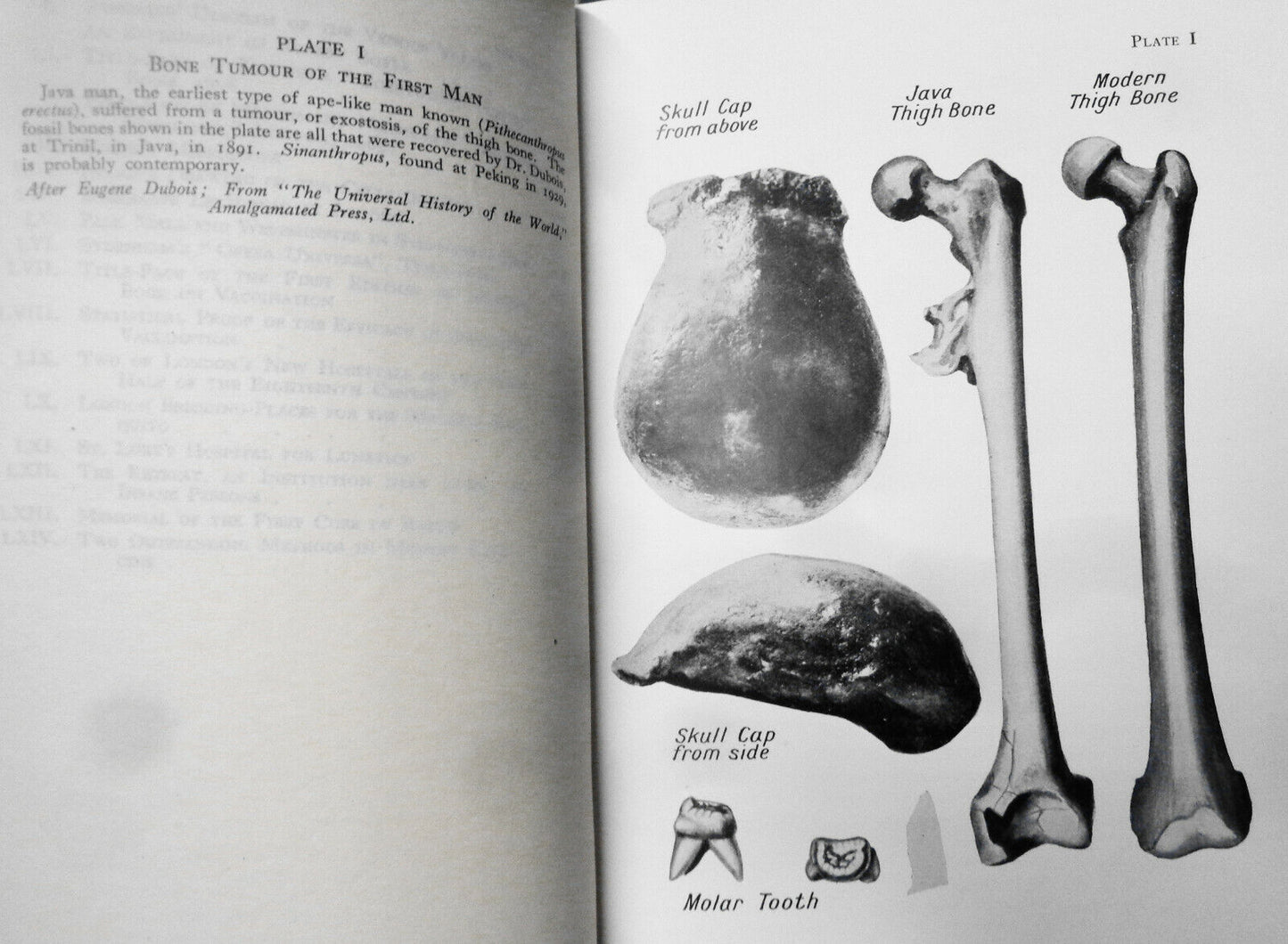 Sixty Centuries Of Health And Physick - by S G Blaxland Stubbs; E W Bligh. 1931