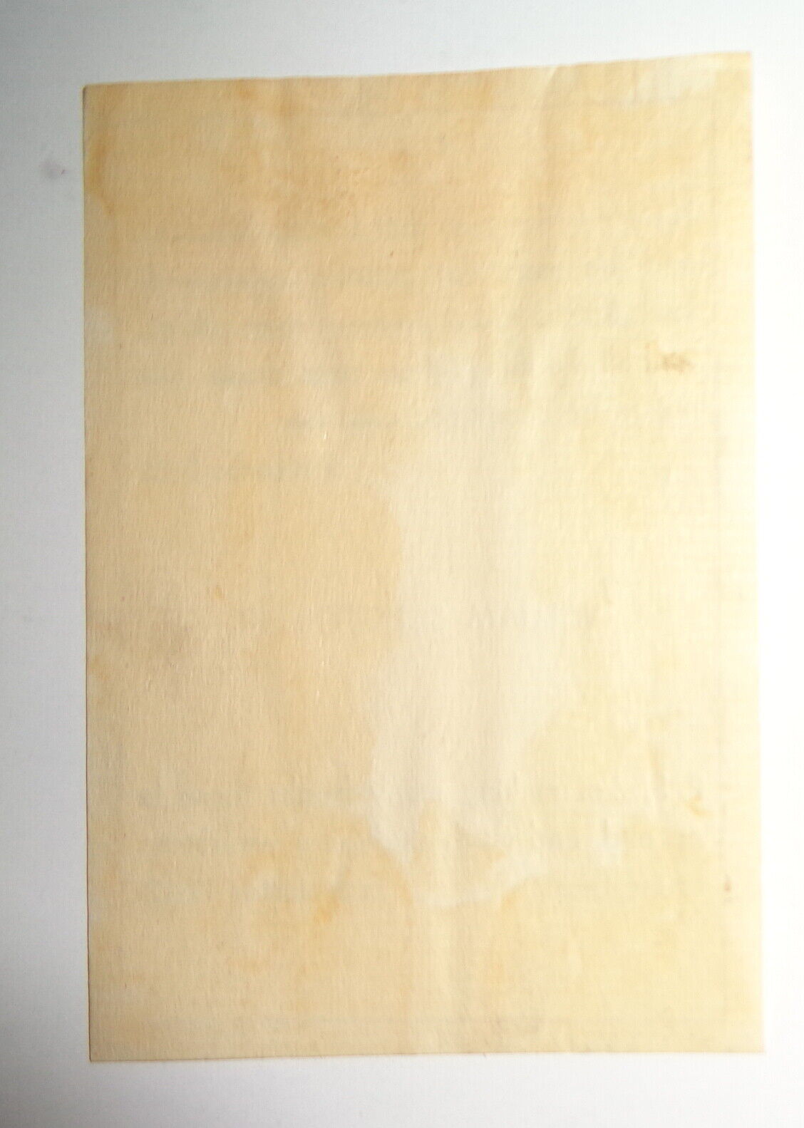 William Schuette Jr. Ex Libris Bookplate