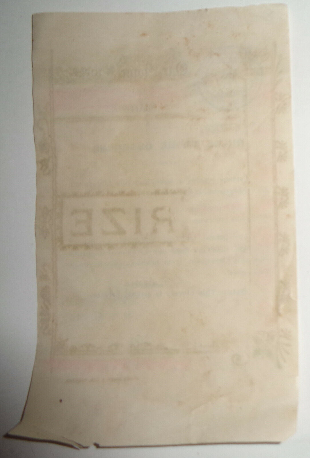 Cardiff, Our Home Library (Private) Ex Libris bookplate, ca 1908 by D. T. Adams
