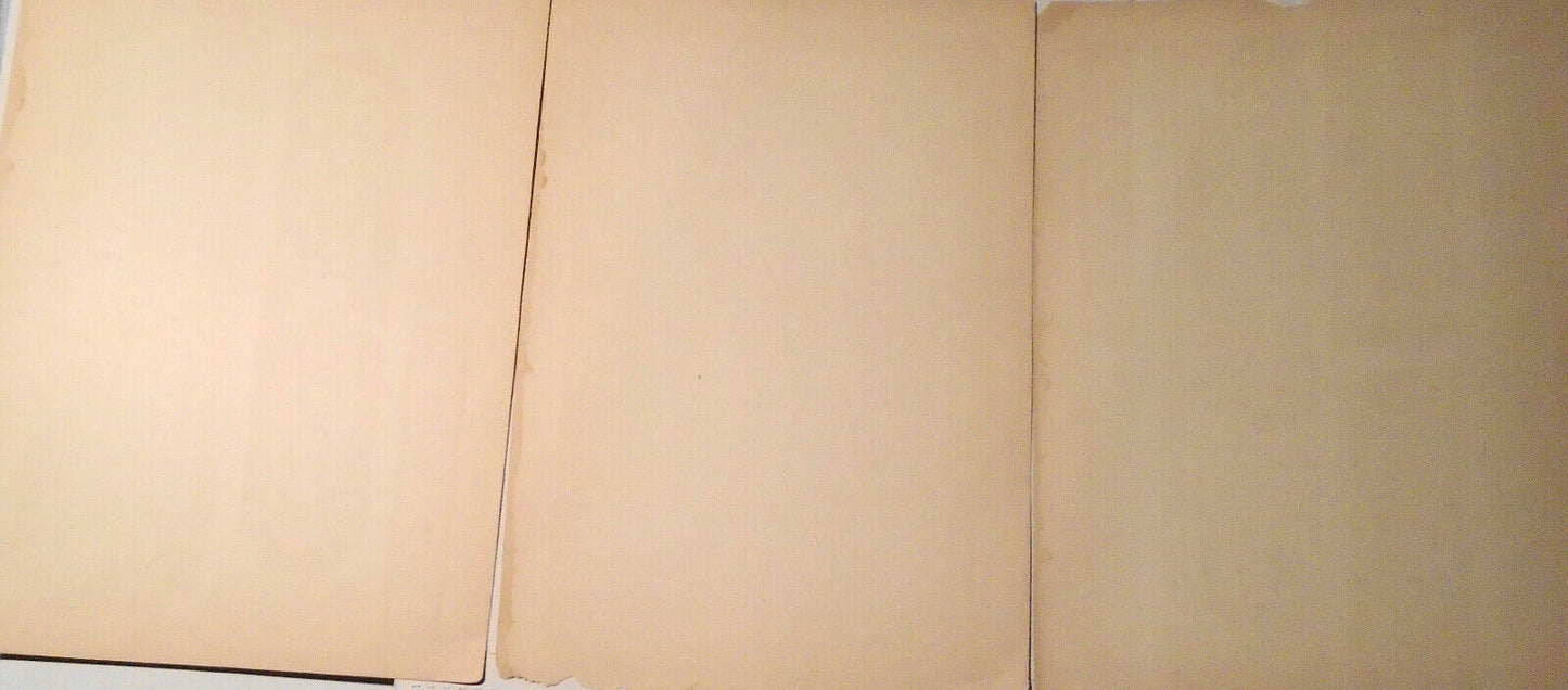 1868 Indian Nos. 6, 6* & 5* - Three Lithographs from The Grammar of Ornament