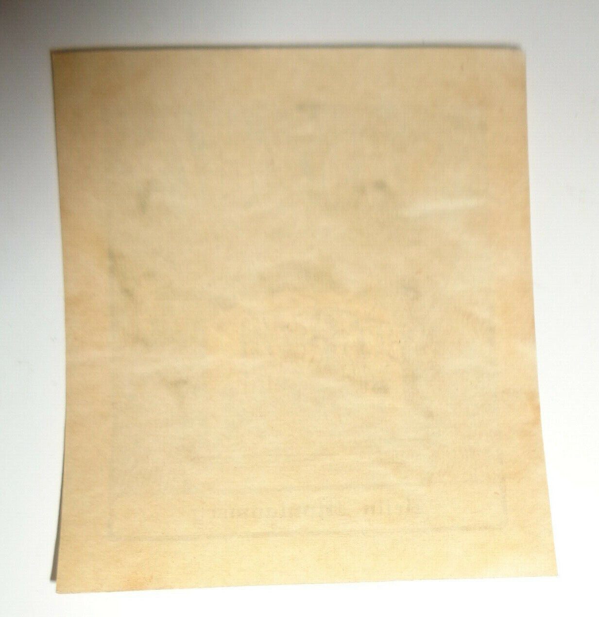 Betty Montgomery Ex Libris Bookplate