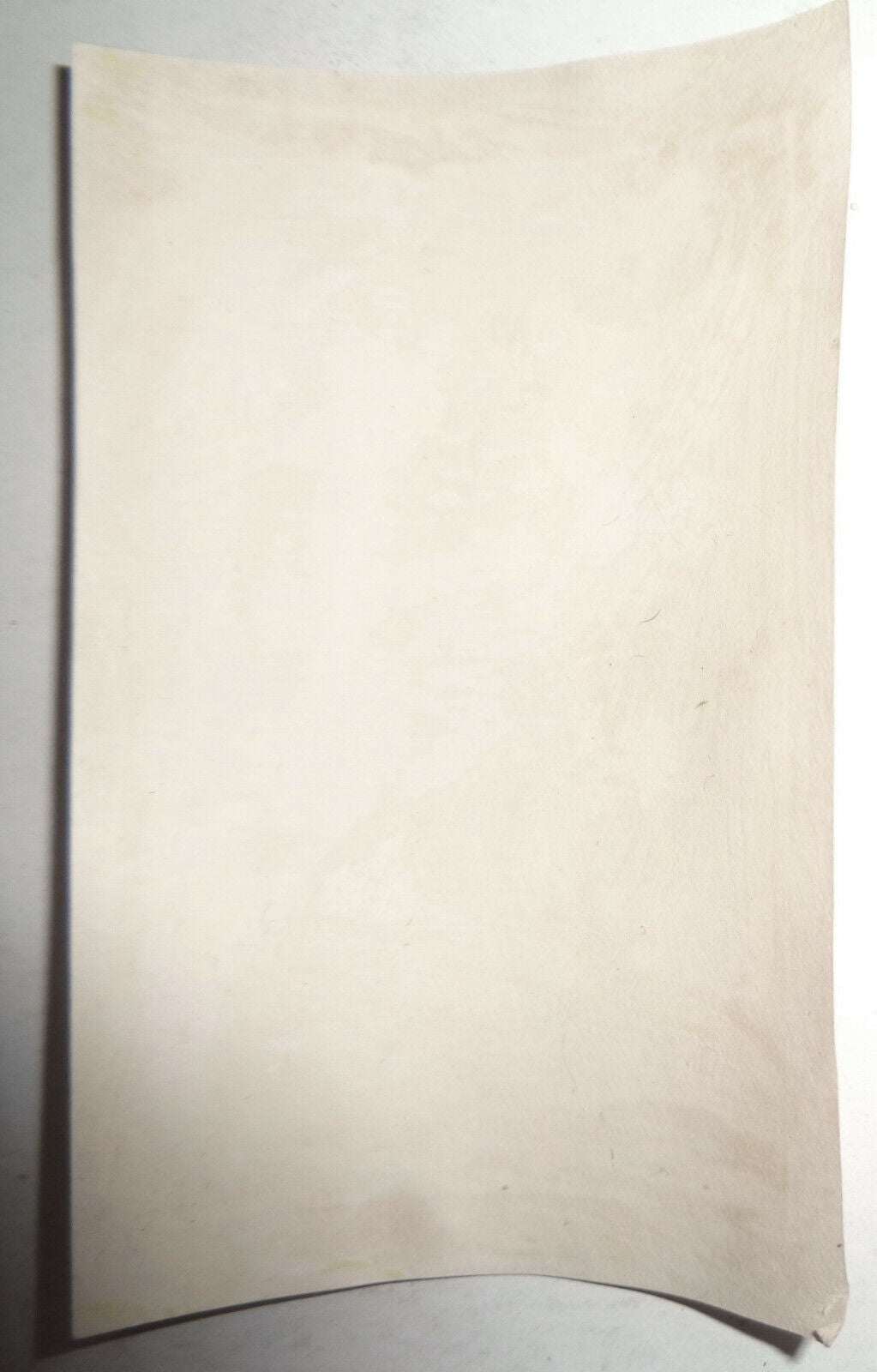 Stetson Ex Libris bookplate - (Caleb Rochford Stetson,Trinity Church NYC Rector)