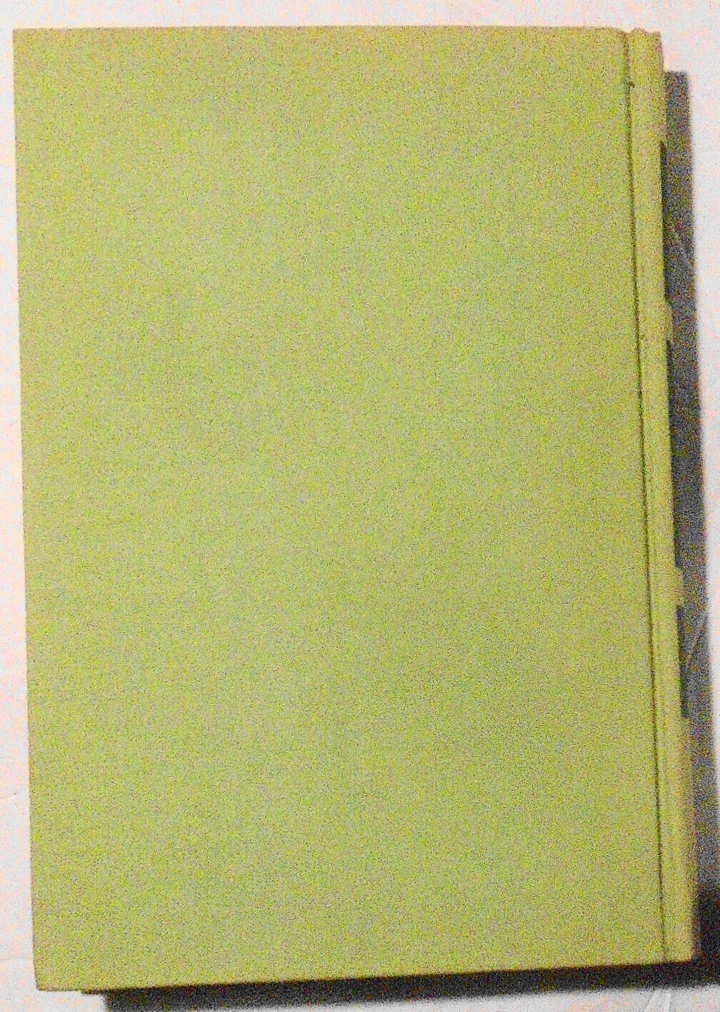 Birch Interval, by Joanna Crawford, First edition, 1964. Hardcove/DJ.