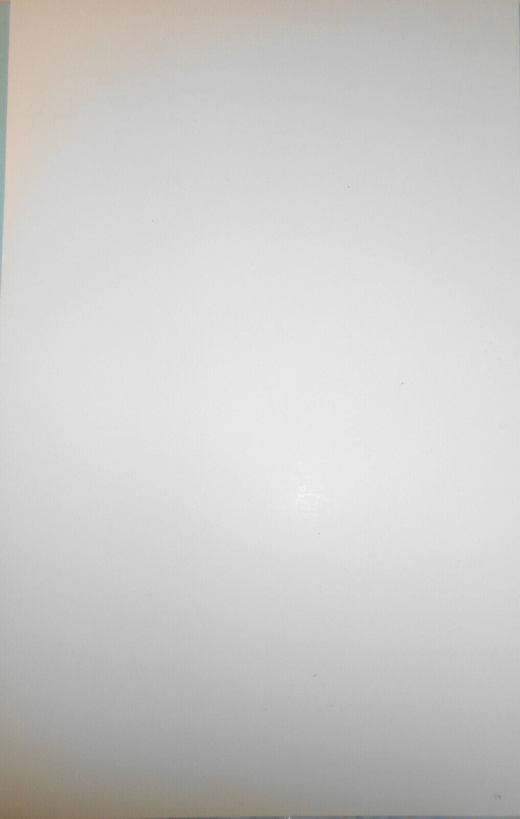 The Nanjing Race - 2011 poster, Dorothy Strelsin Theatre, New York City Abingdon