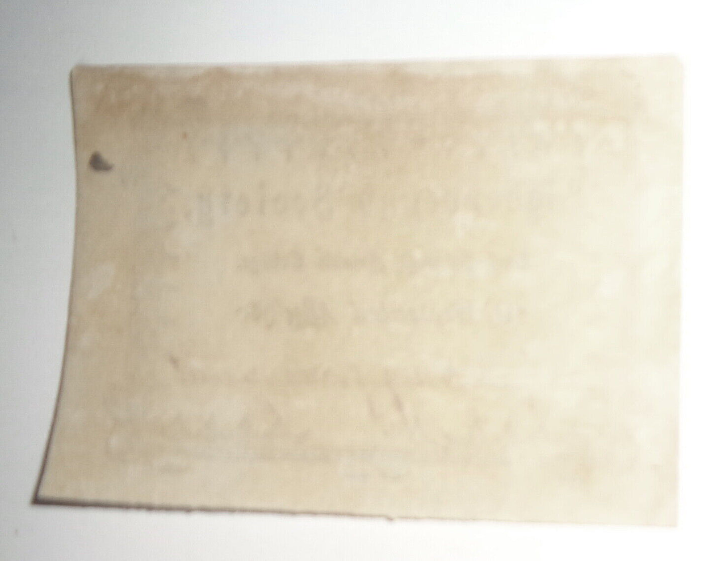 Sigourneyan Society, Greensborough Female College - Bookplate - 19th century