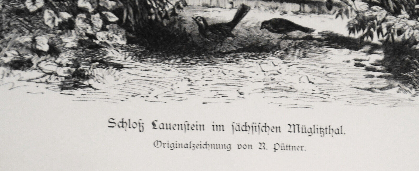 Schloß Lauenstein im sächsischen Müglitzthal, by R. Puttner -- 1882