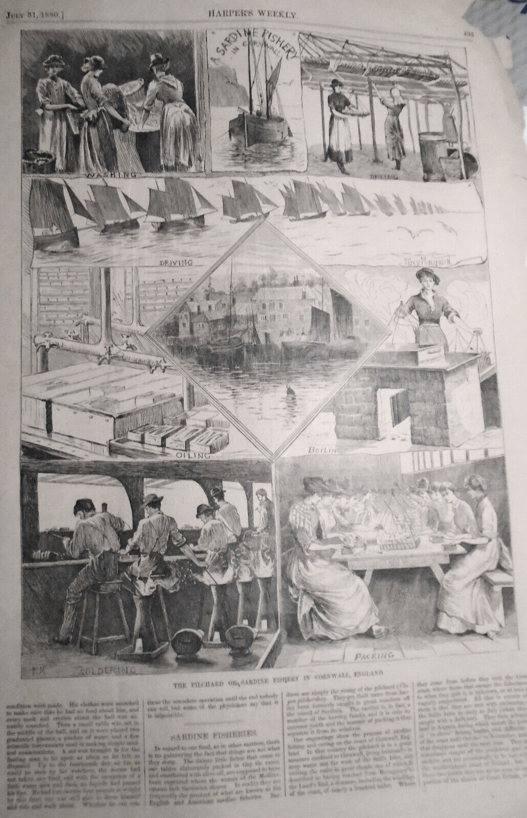 HARPER'S WEEKLY, July 31, 1880 - Democratic Trojan Horse / Circus accident, etc