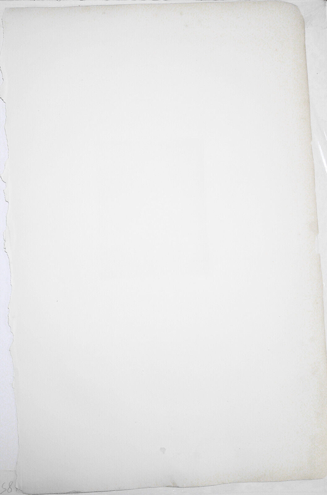 1831 Horatio Walpole - original engraving from Lodge's Portraits. 17x11 inches.