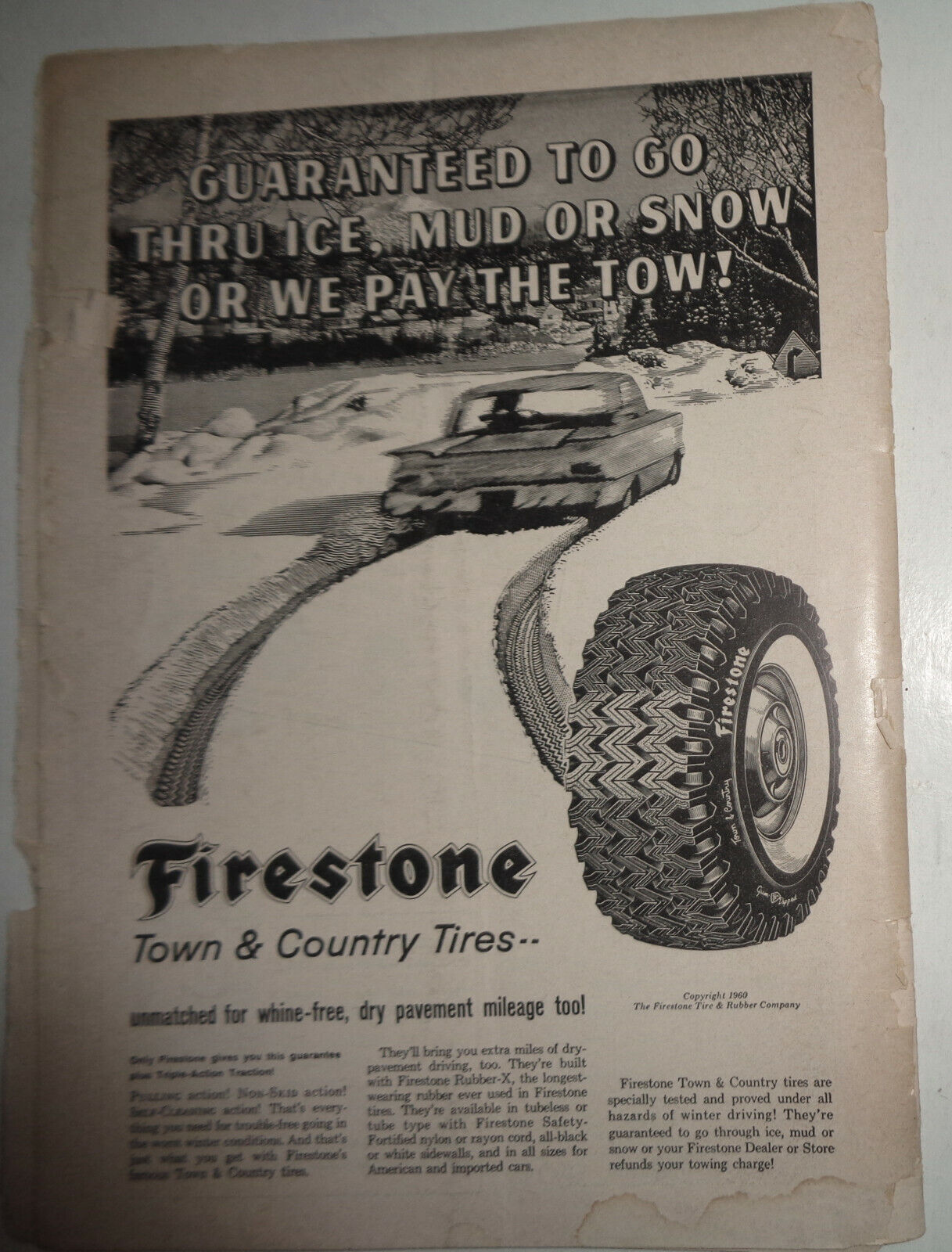 A MIDSUMMER NIGHT SCREAME - PROGRAM - TRIANGLE CLUB OF PRINCETON UNIVERSITY 1960