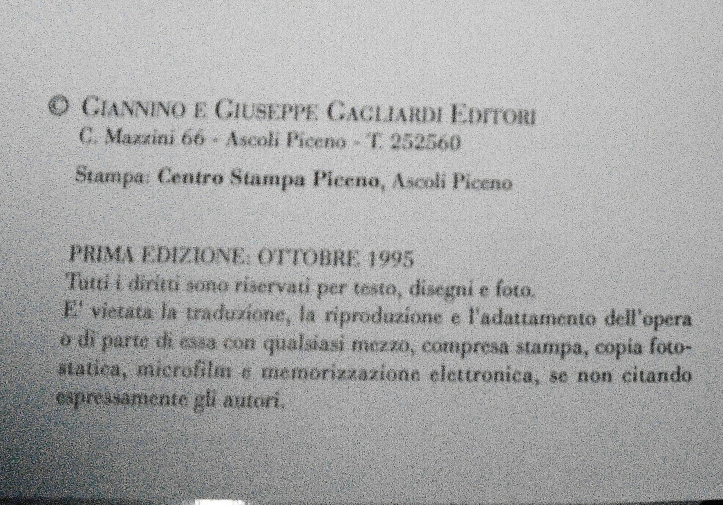 Ascoli e l'edilizia privata medievale : nei secoli XII, XIII e XIV. 1995