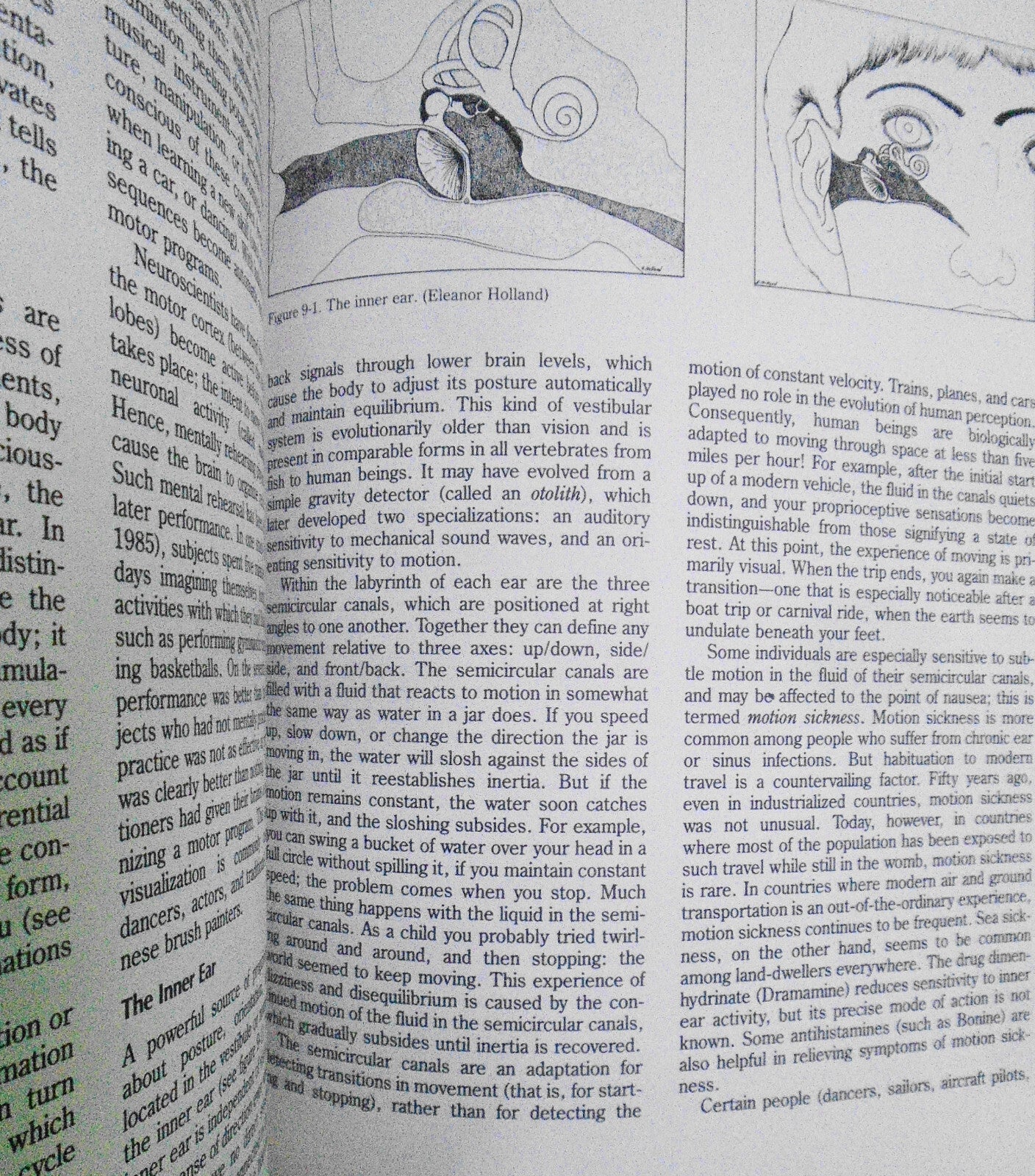 Perception, by Lloyd Kaufman & Principles of Visual Perception, by Bloomer