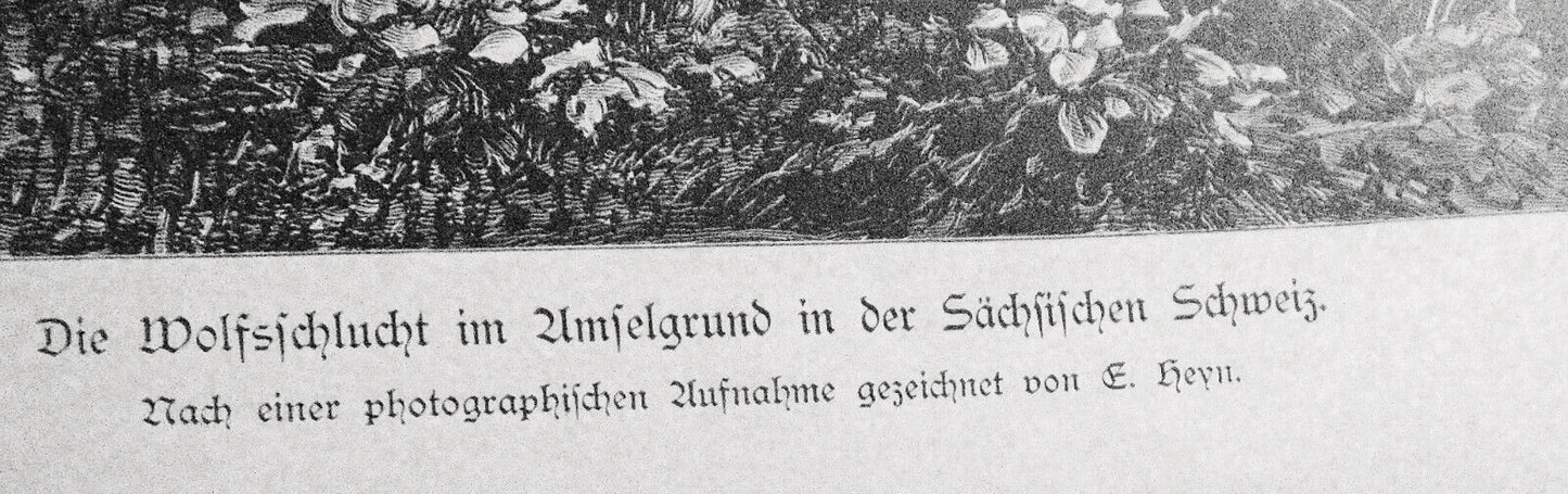 Die Wolfsschlucht im Amselgrund in der Sächsischen Schweiz, by E. Heyn - 1884