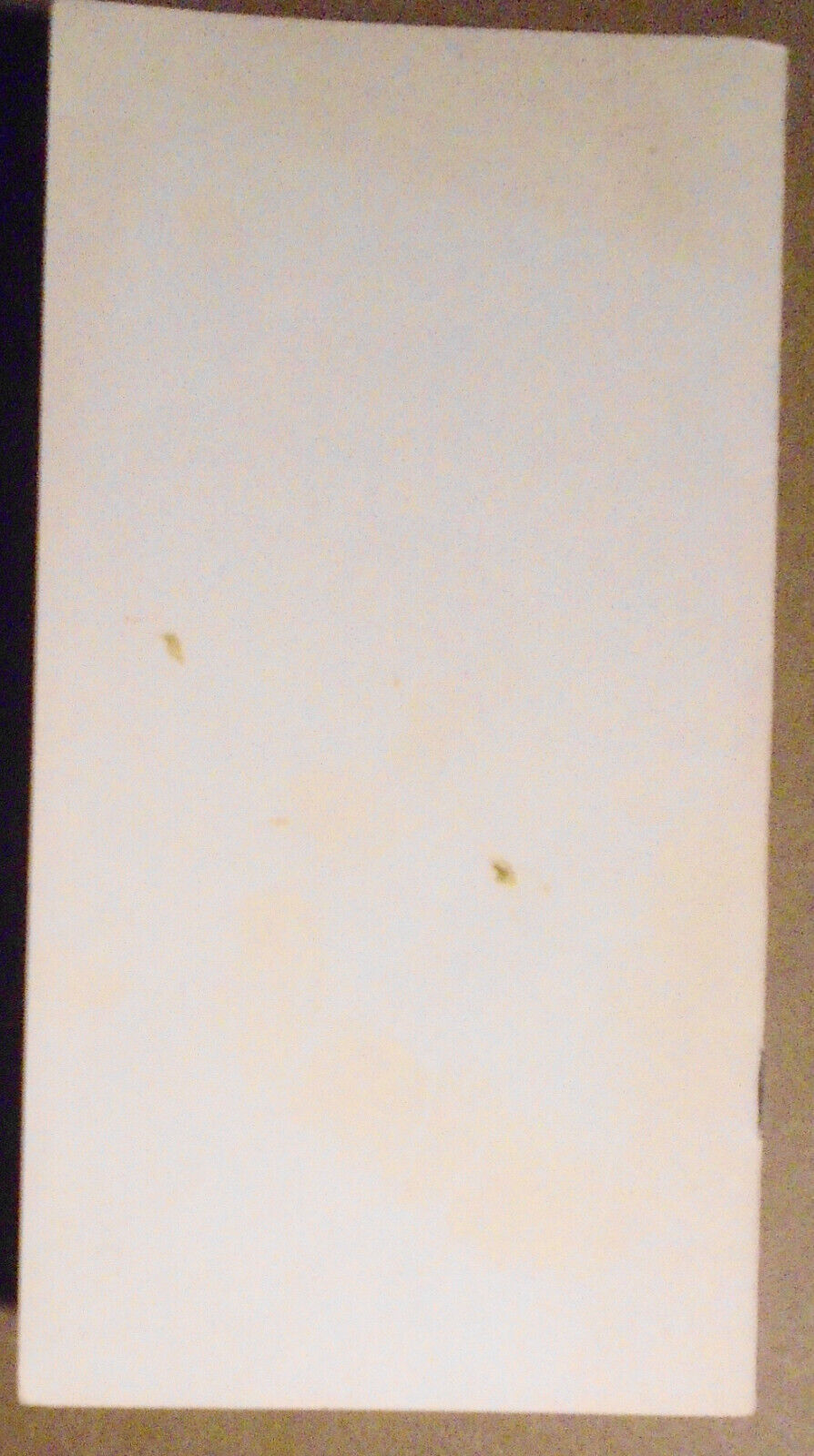 1929 P.E.O. Sisterhood 8th Annual Convention Program, State Chapter Lusk Wyoming