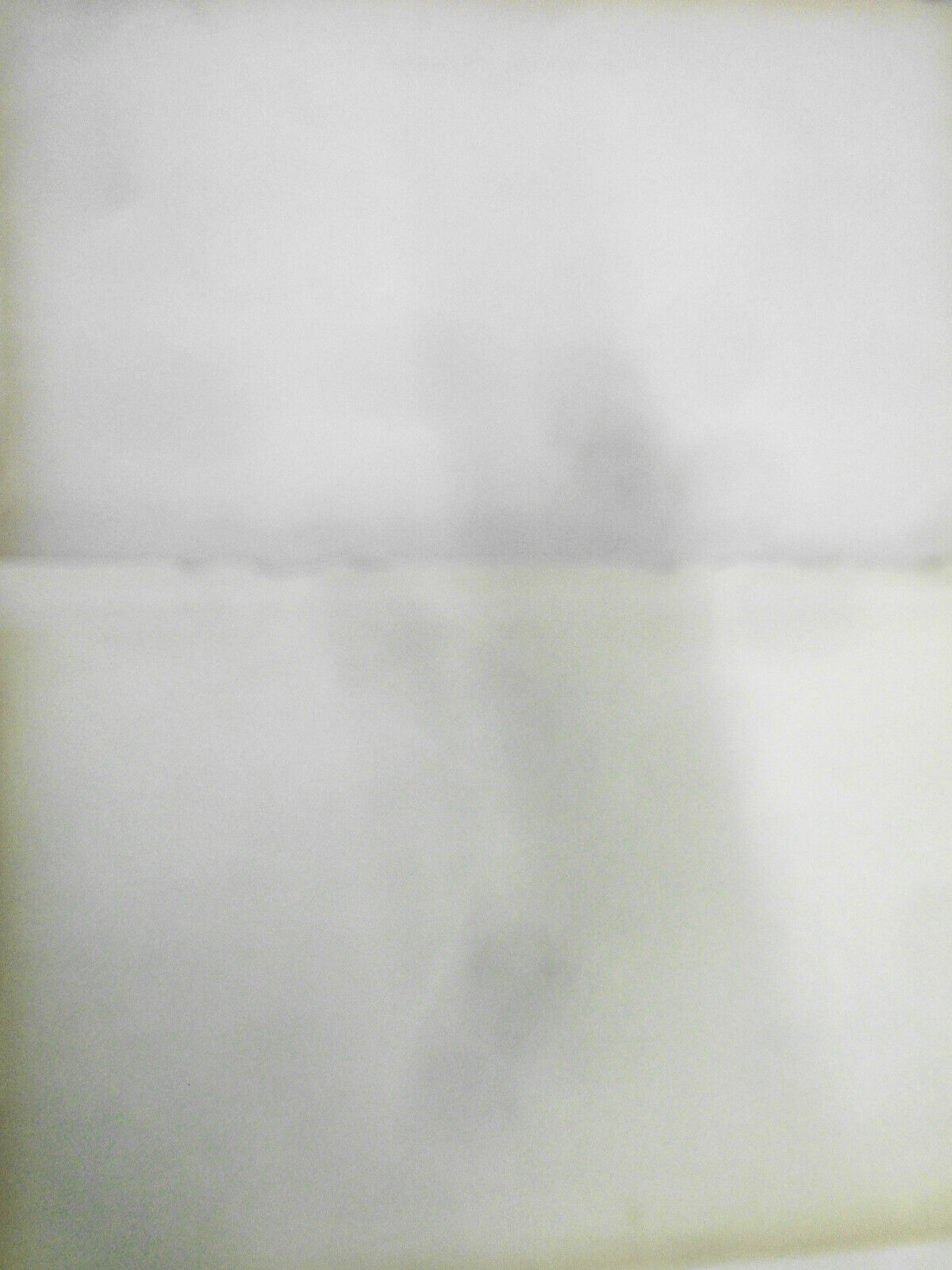 1890 Die wunderbare Bärenjagd - Münchener Bilderbogen N. 291, by Wilhelm Busch