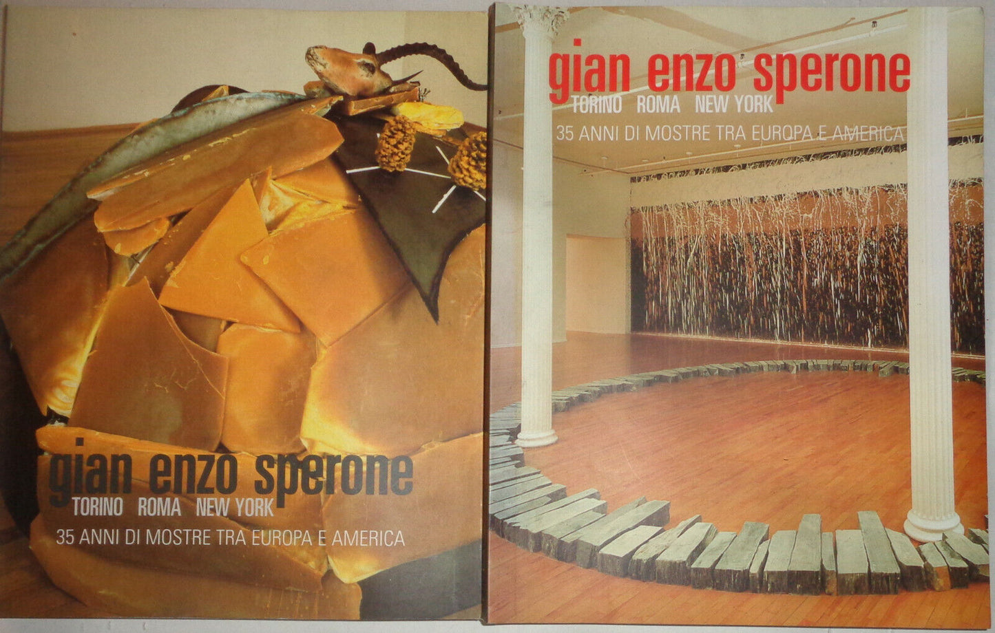 Gian Enzo Sperone : 2 Vol. Set -Torino, Roma, New York : 35 anni di mostre ...