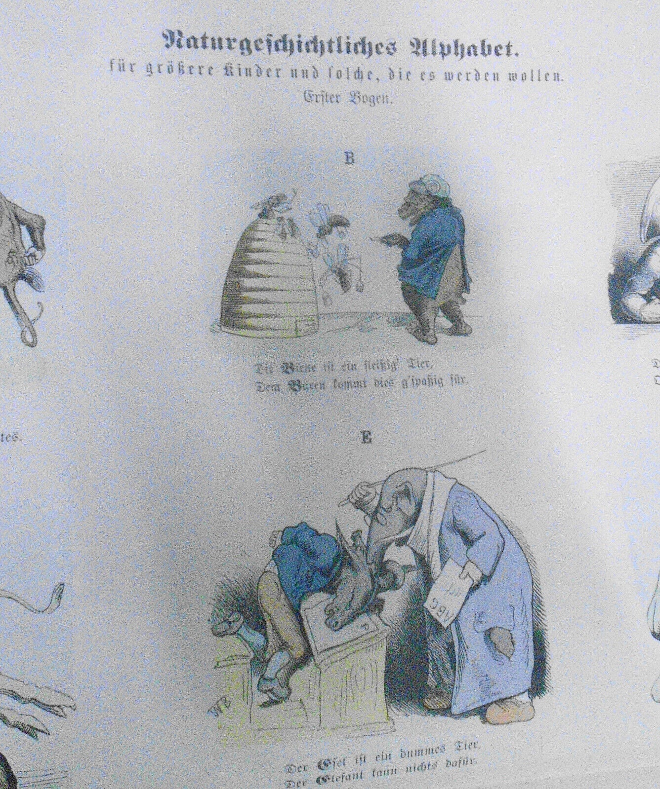 1890 Naturgeschichtliches Alphabet - Münchener Bilderbogen N. 405; Wilhelm Busch