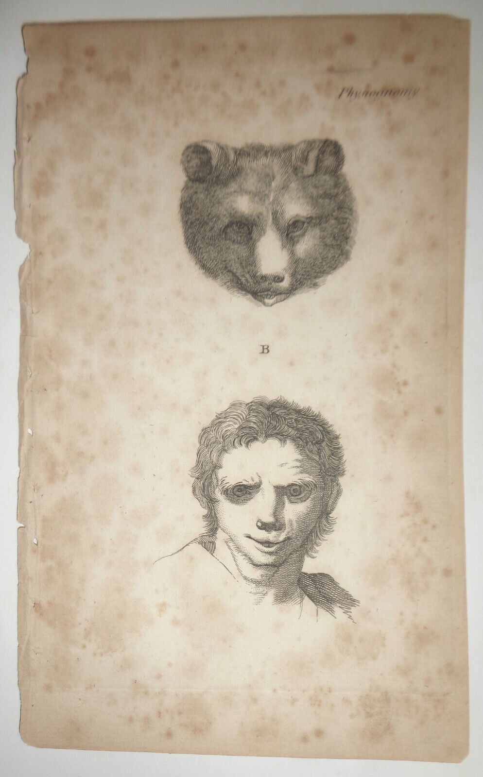 1786 - Physiognomy, Plate B -- from The Artist's Repository