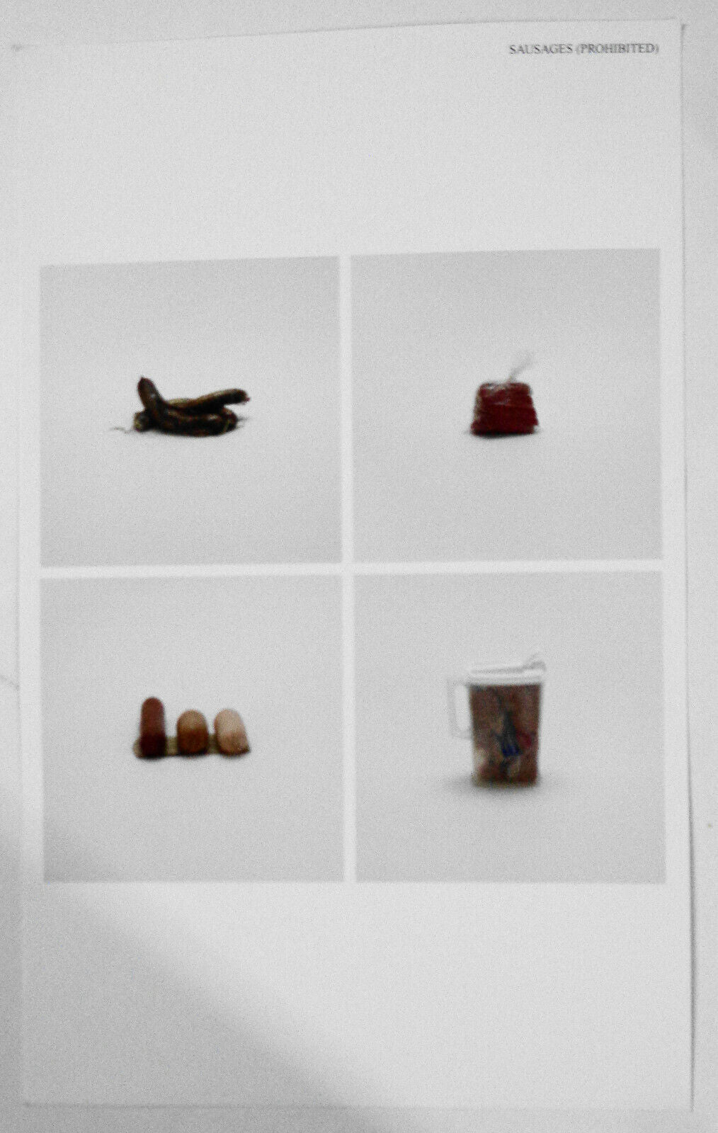 Taryn Simon : Contraband - Exhibition catalog - Gagosian Gallery 2010